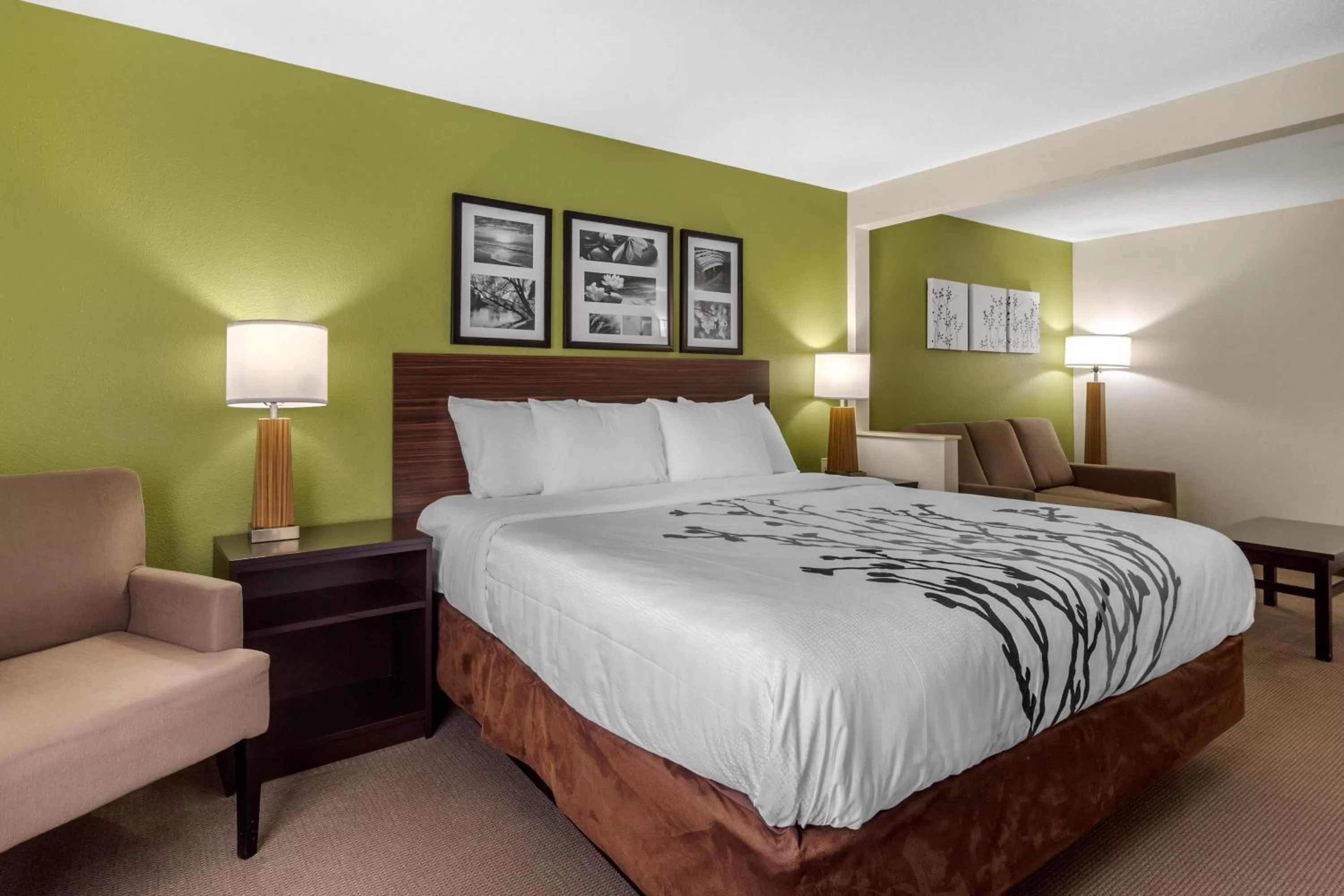 King Suite - Accessible/Non-Smoking in Sleep Inn & Suites Allendale