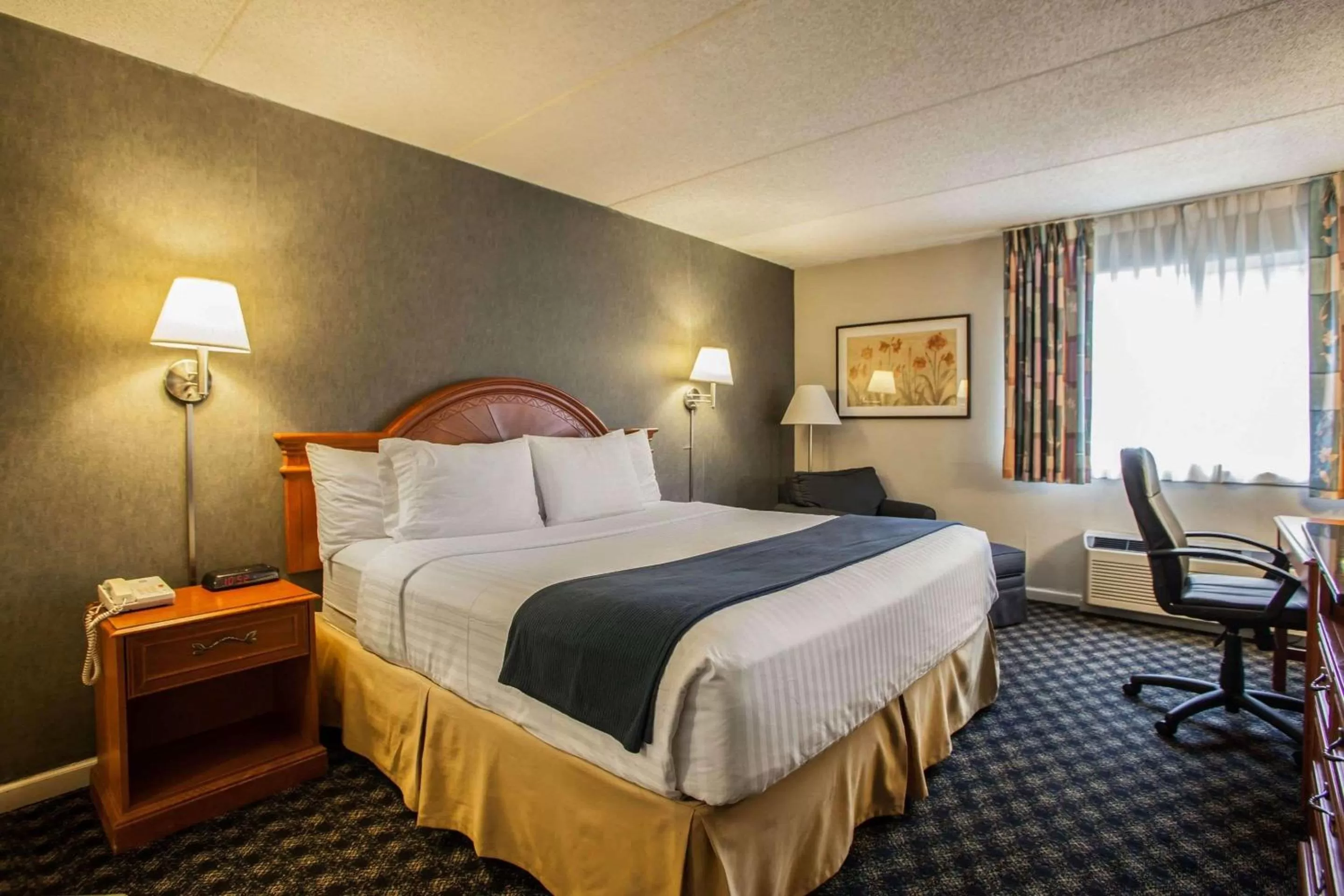 Standard King Room - Non-Smoking  in Quality Inn and Suites St Charles -West Chicago