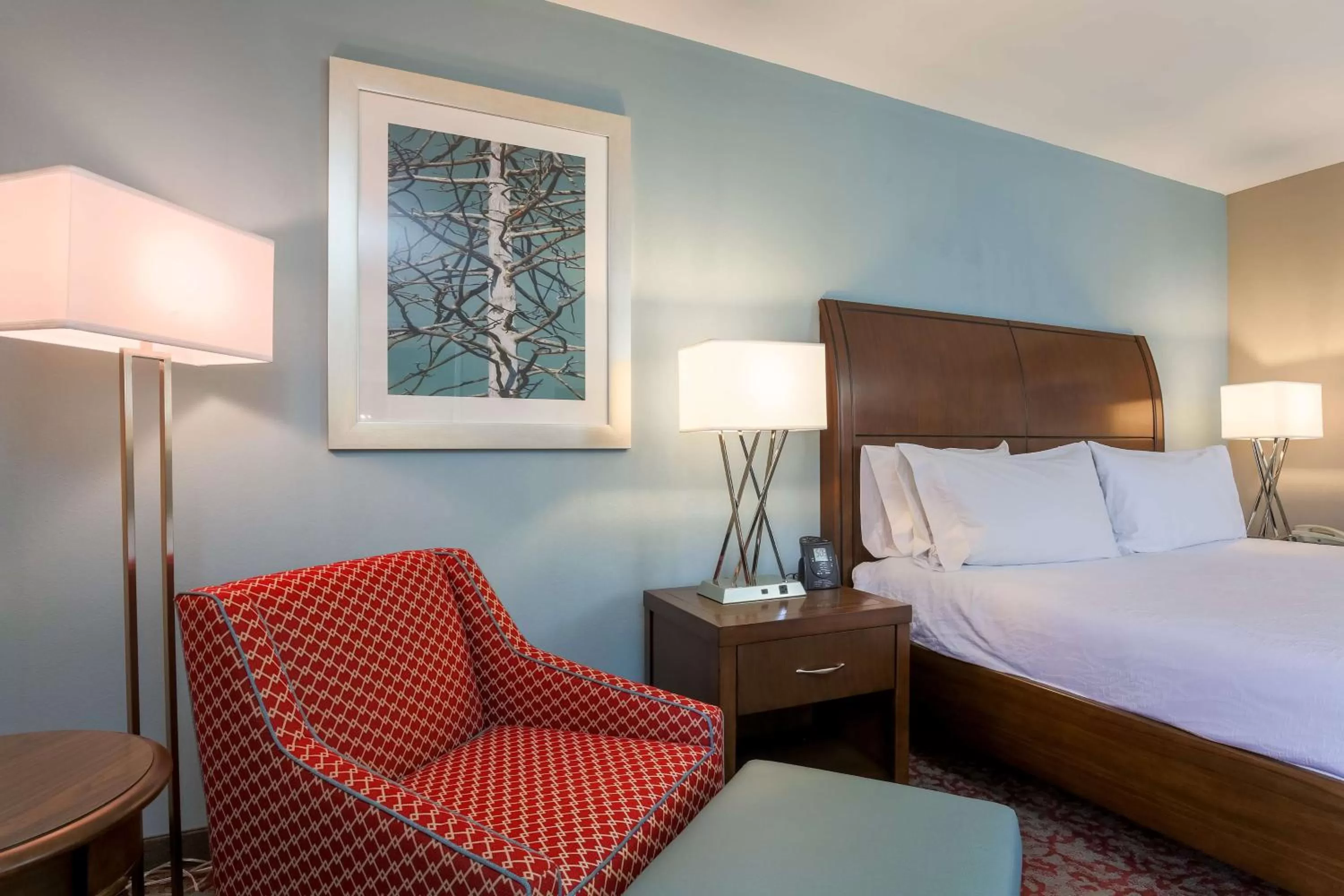Deluxe King Room in Hilton Garden Inn Nanuet