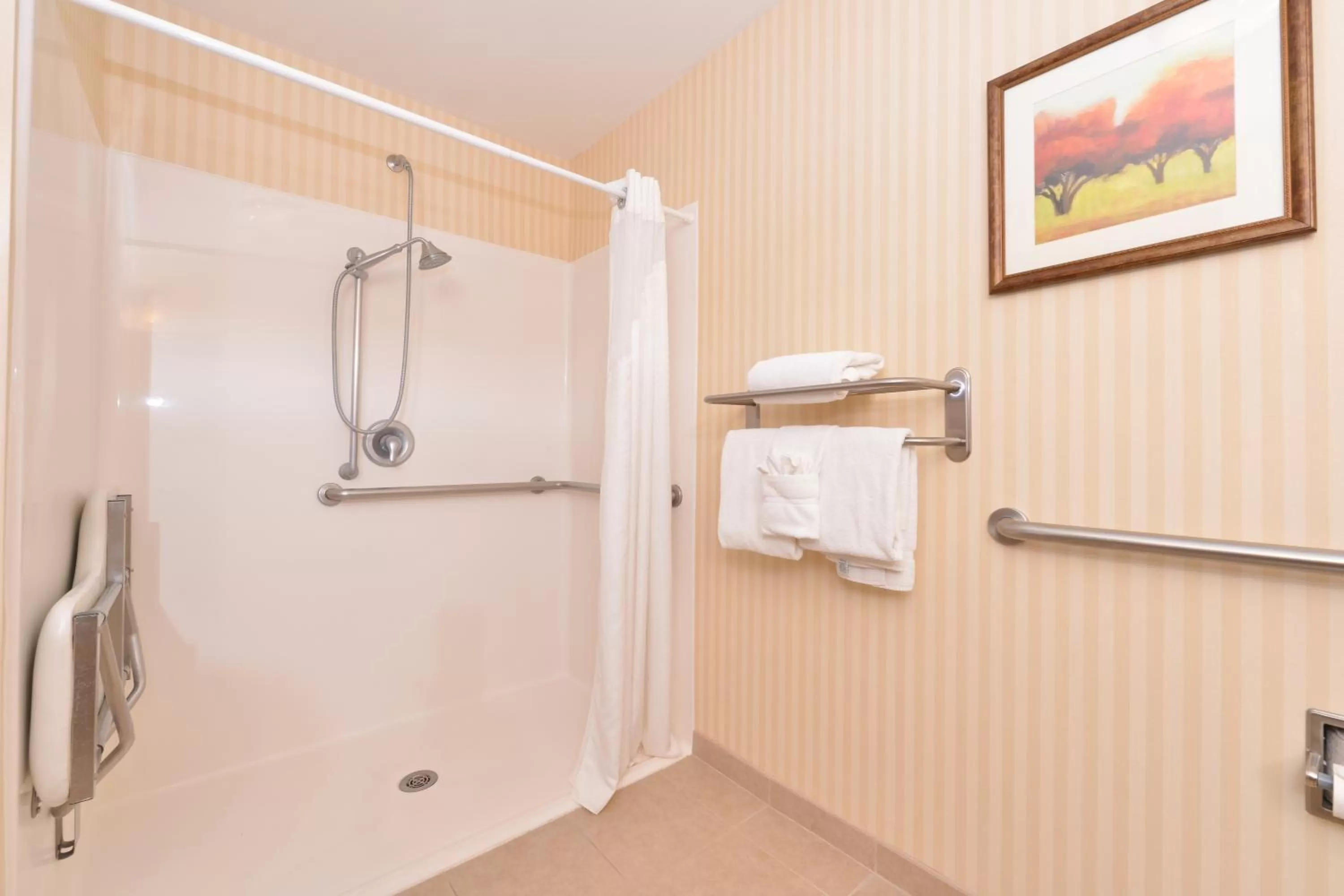 Suite - Mobility Access Roll in Shower/Non-Smoking in Holiday Inn Express Rawlins by IHG
