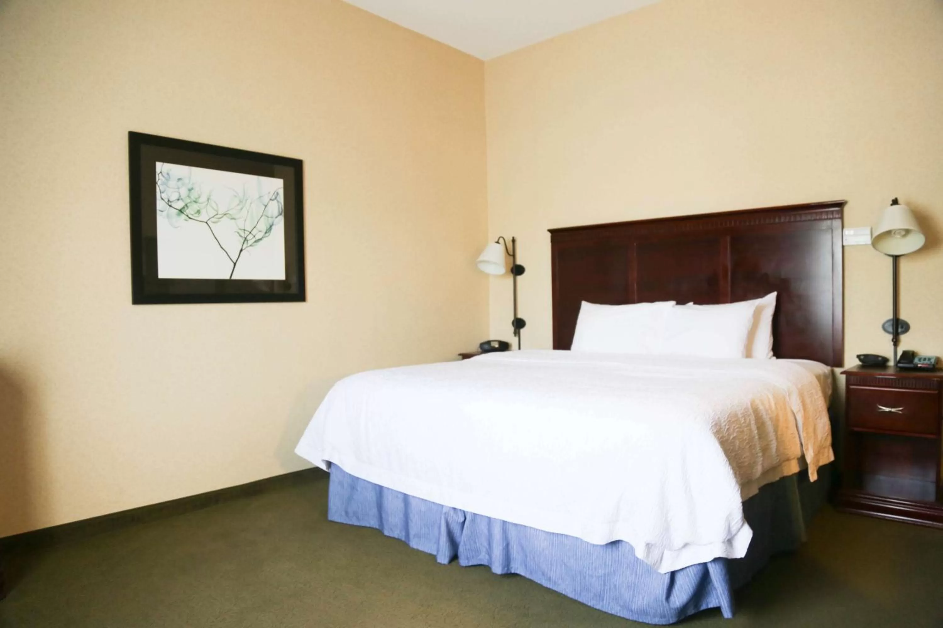 Bed in Hampton Inn Morehead