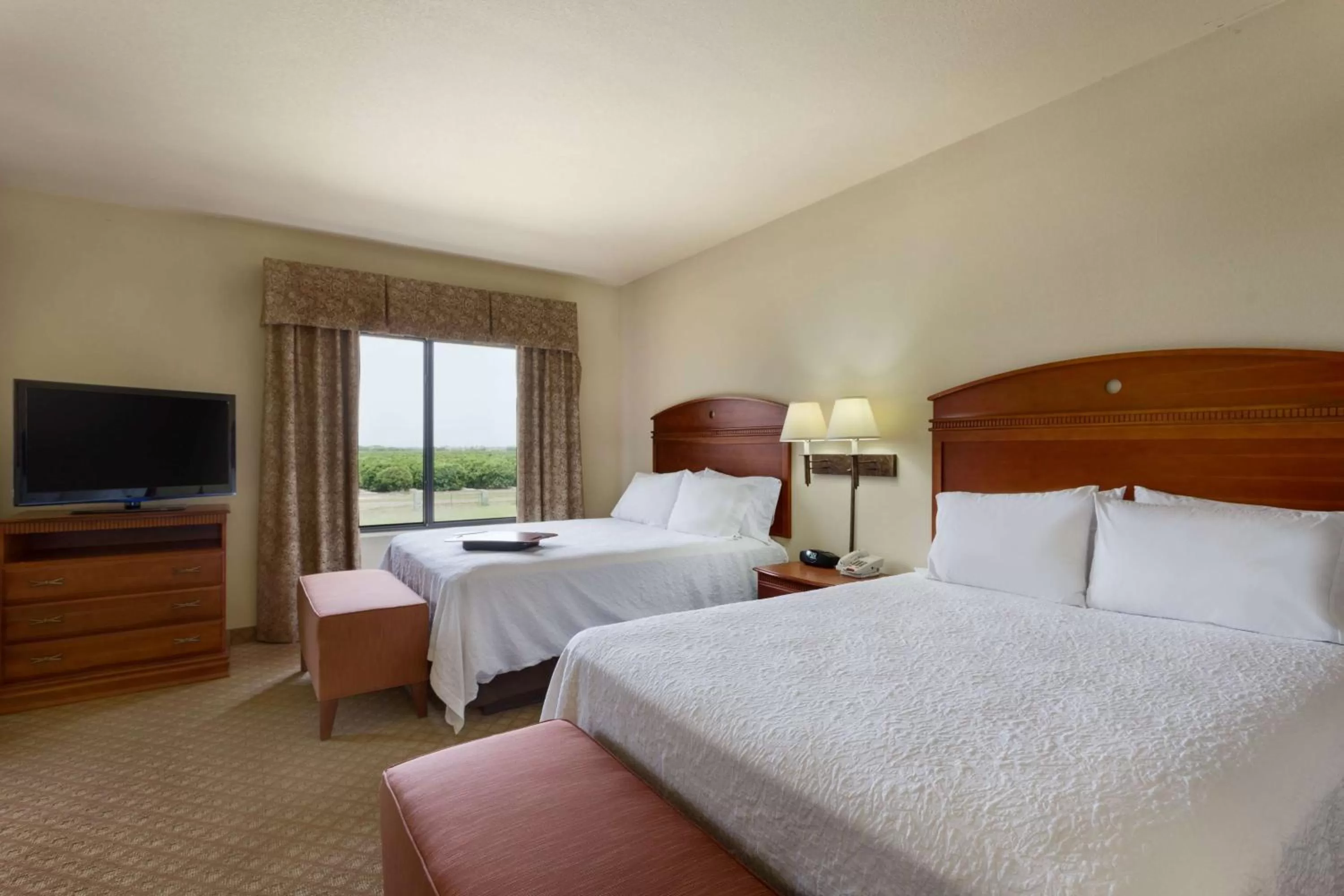 Queen Studio Suite with Two Queen Beds - Non-Smoking in Hampton Inn & Suites Pharr