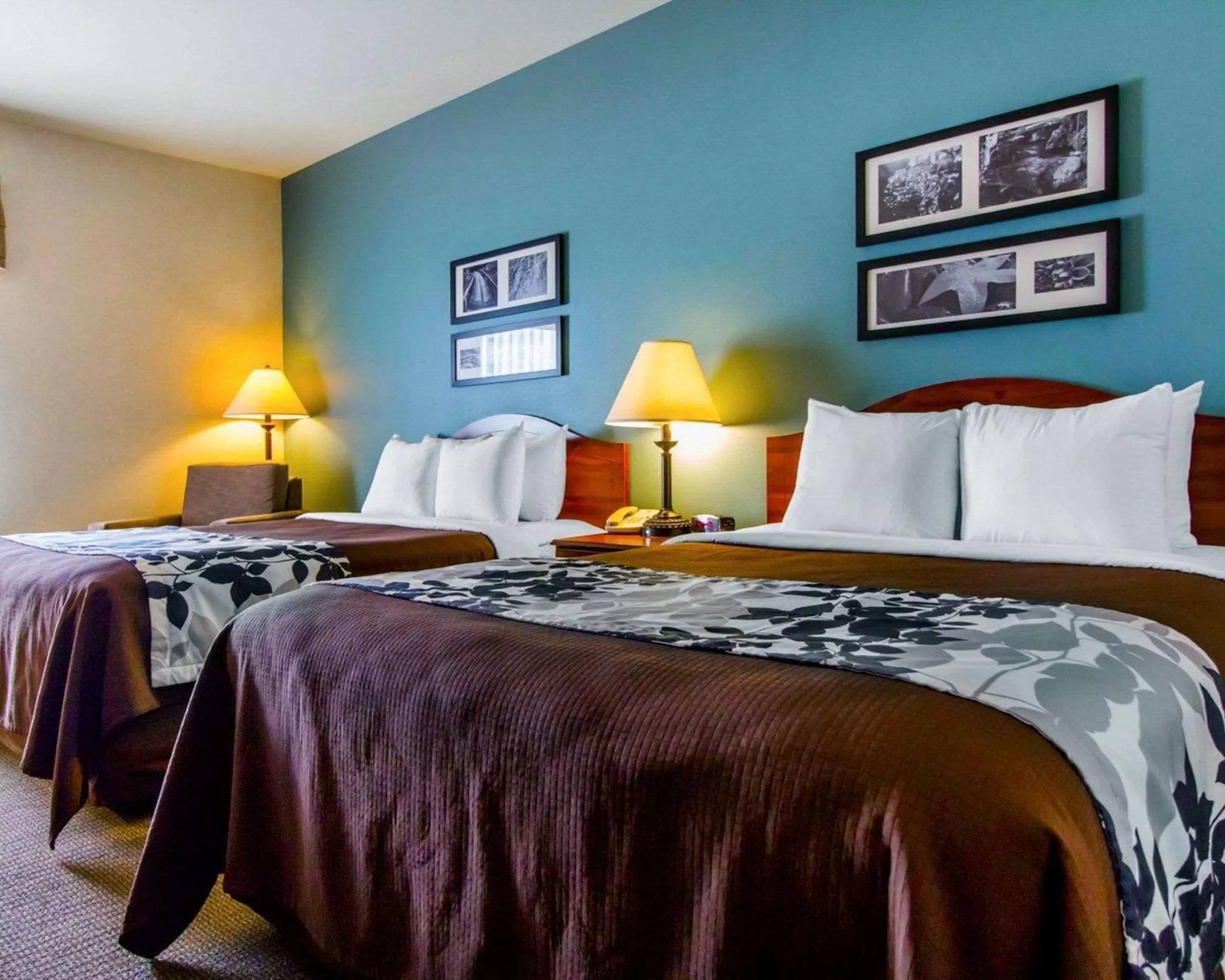 Standard Queen Room with Two Queen Beds - Non-Smoking in Sleep Inn & Suites Evansville