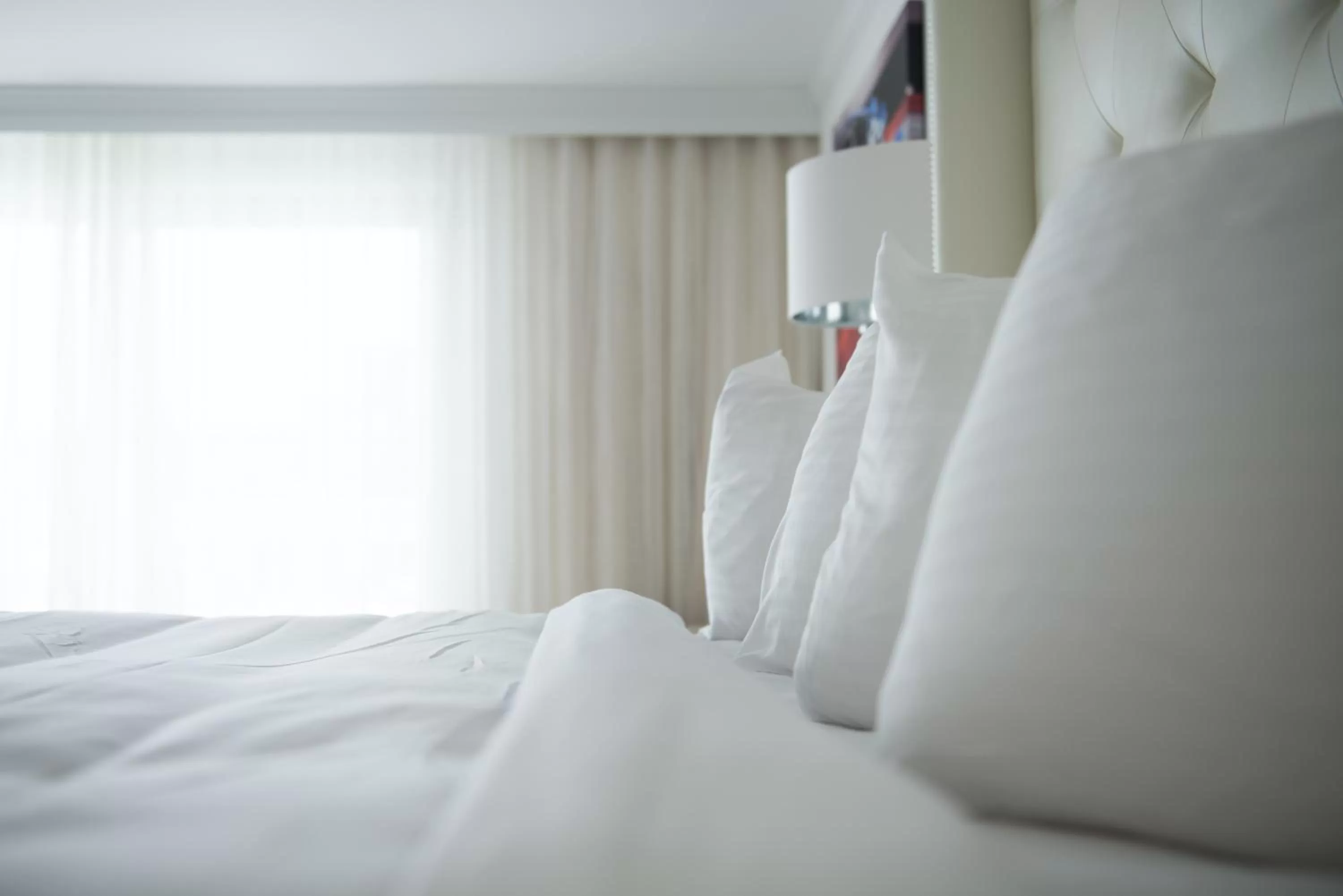 Standard Queen Studio in ICONA Avalon