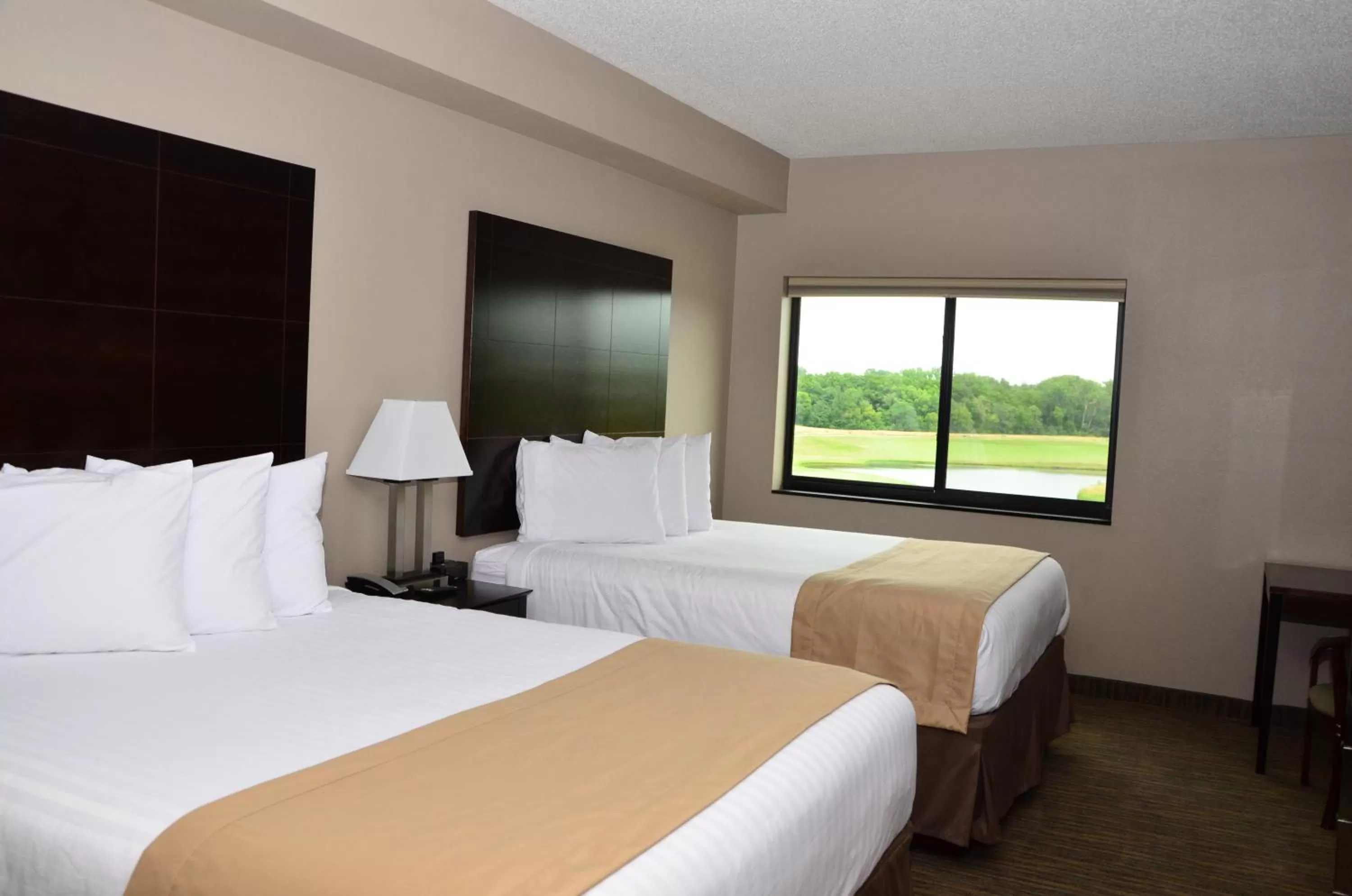 Superior Queen Room in Qube Hotel - Polk City