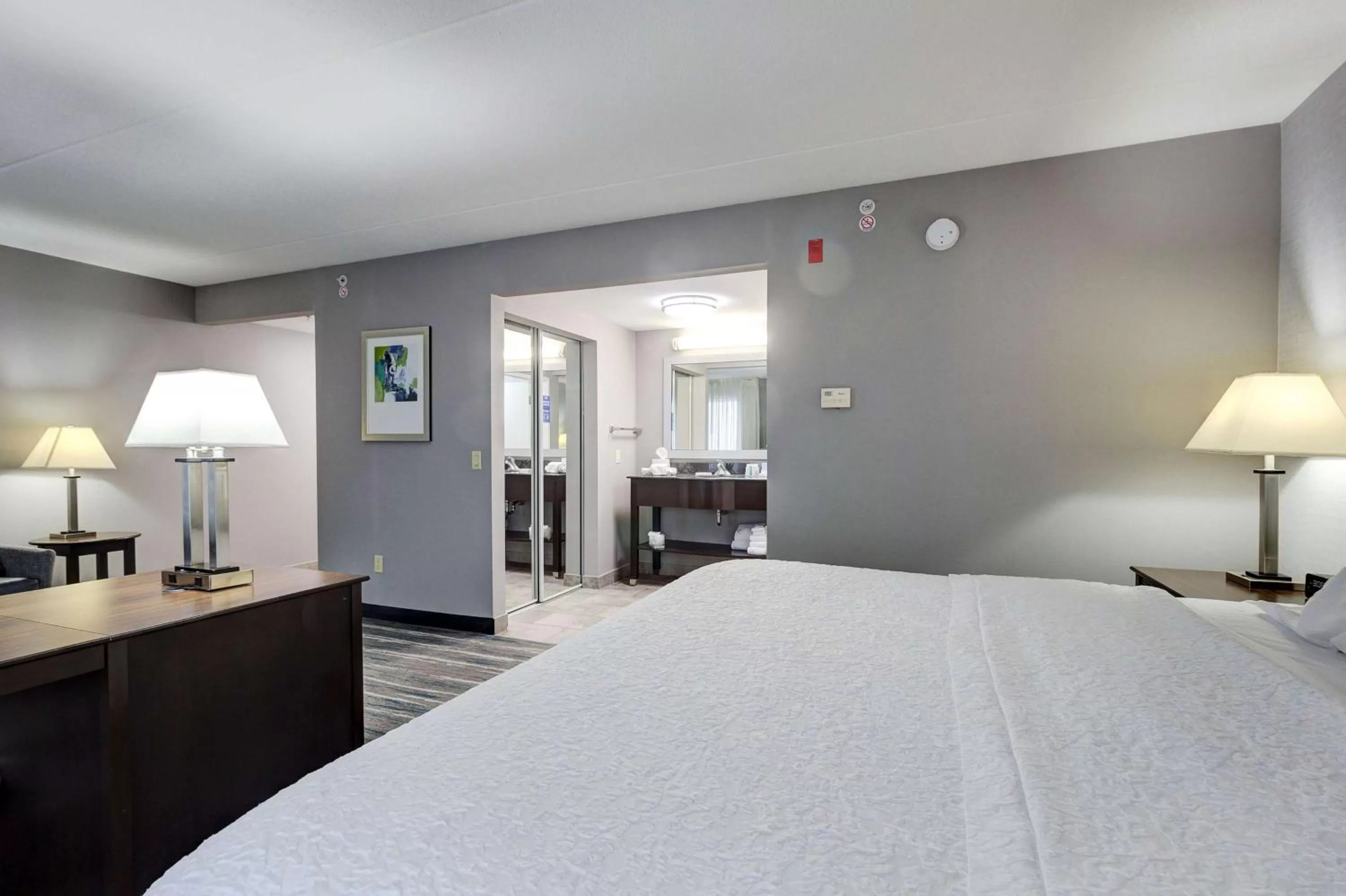 King Studio with Sofa Bed - Non-Smoking in Hampton Inn & Suites by Hilton Brantford