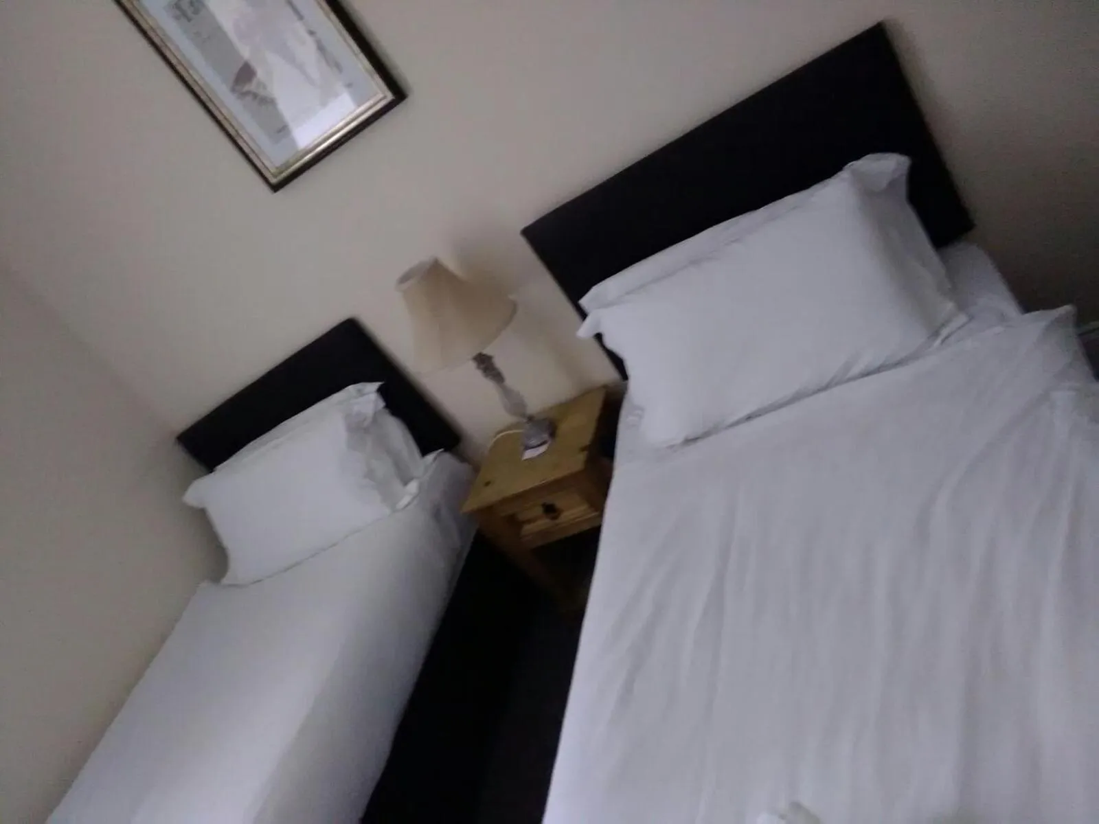 Standard Twin Room in The Waverley Guest House