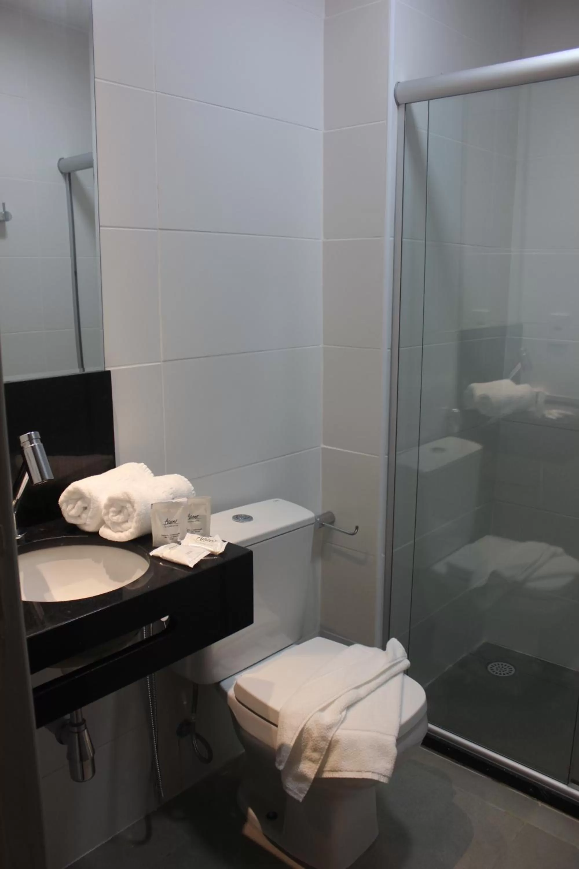 Single Room in Amenit Hotel