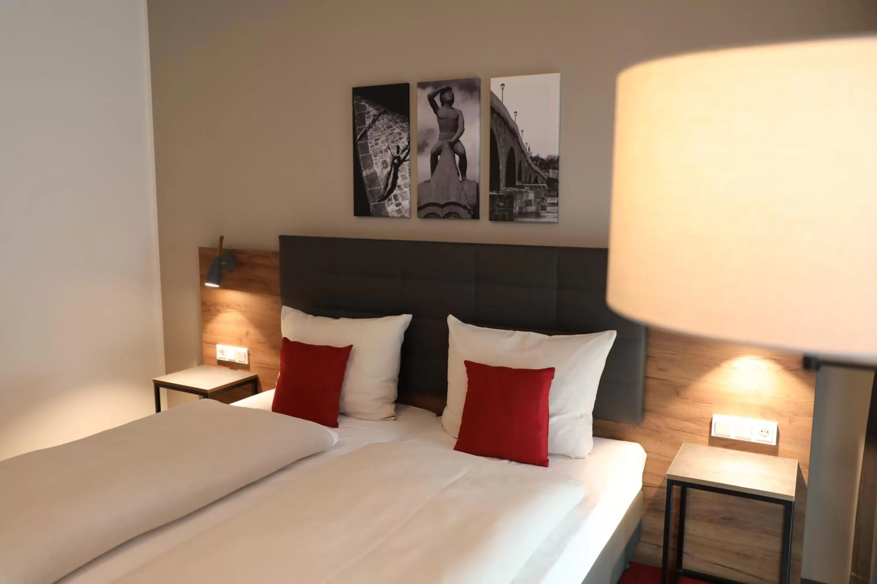 Double Room - single occupancy in Hotel INCLUDiO