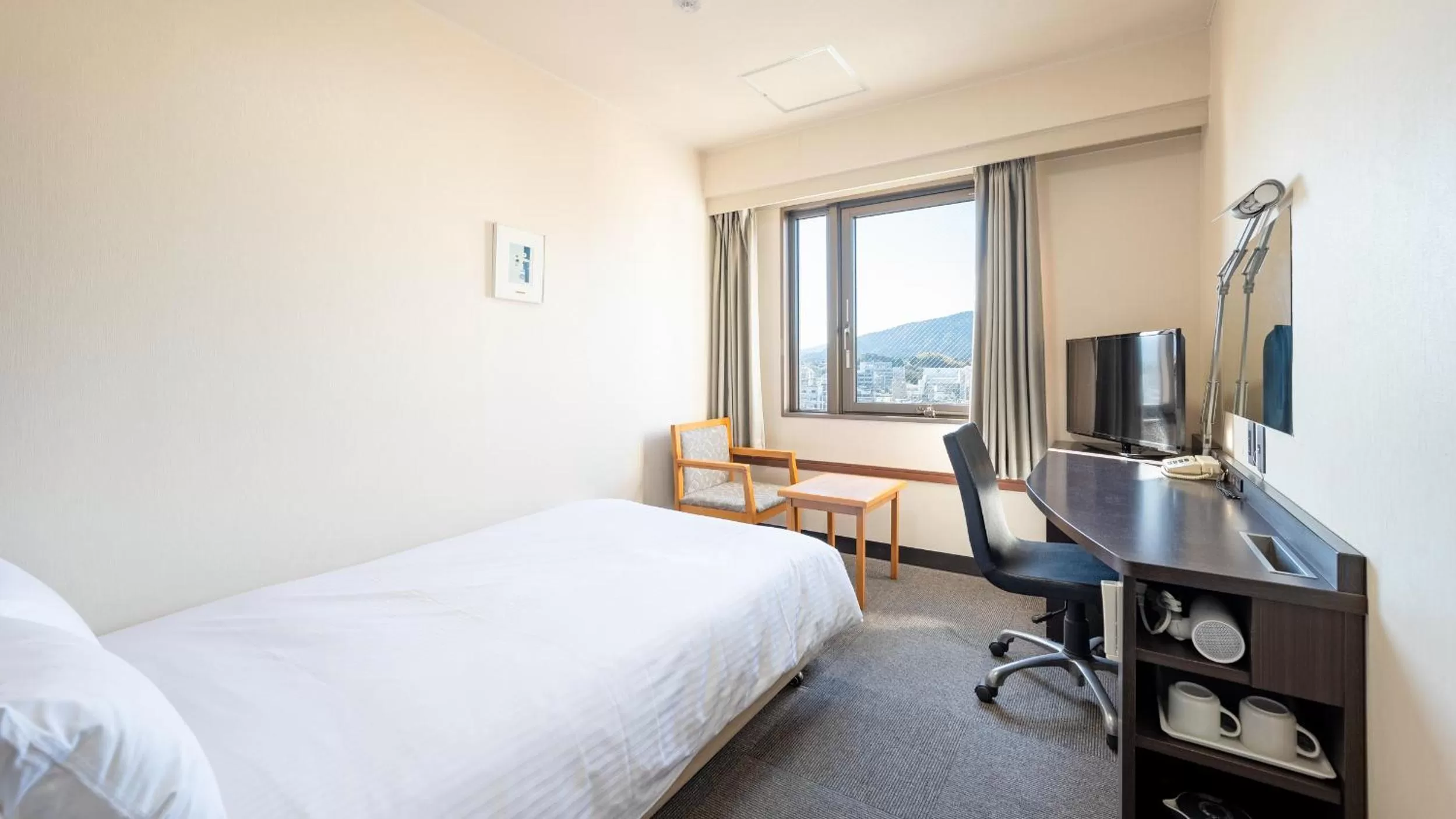 Economy Double Room - single occupancy in EN HOTEL Ise