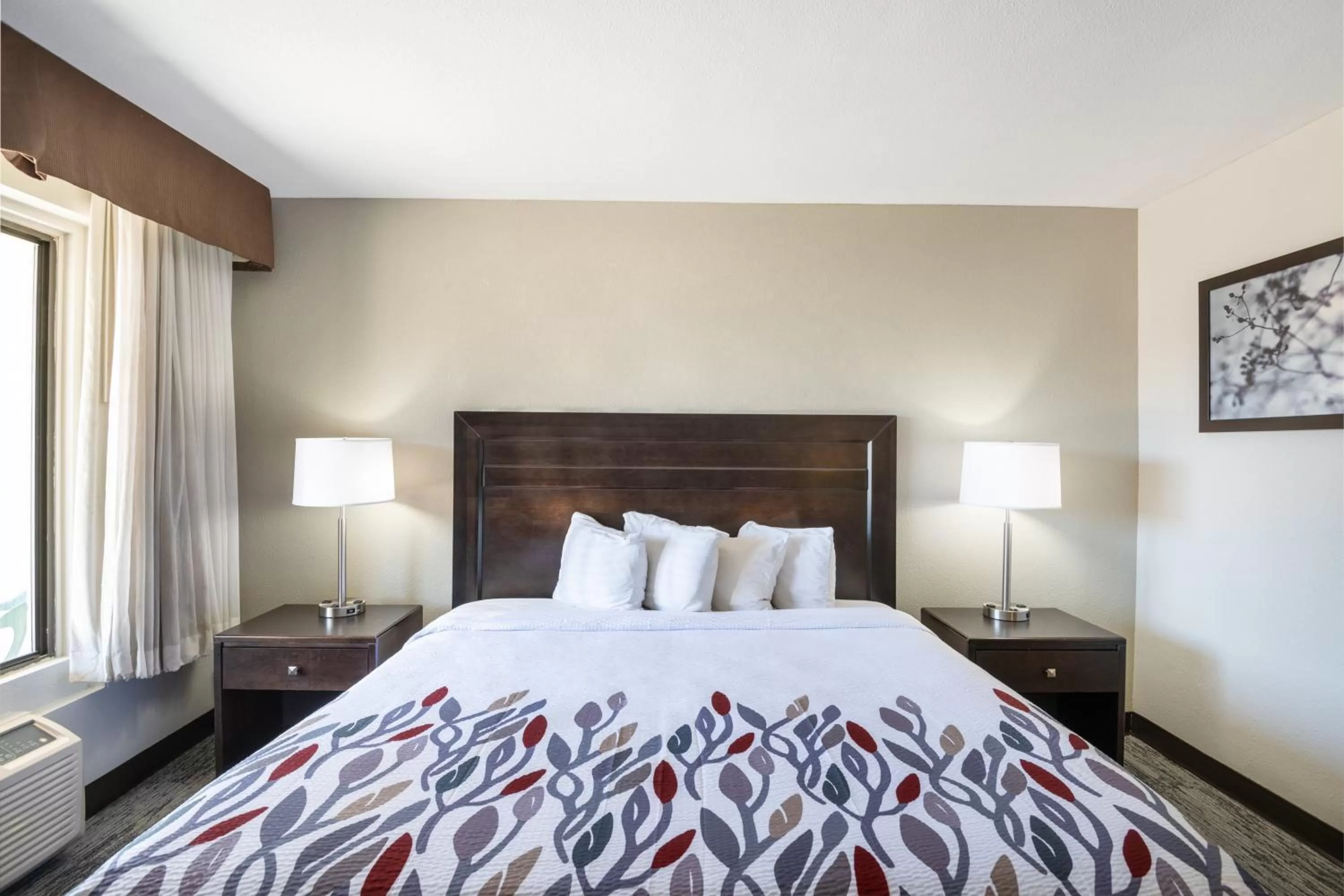 Deluxe Queen Room with Roll-In Shower - Disability Access/Smoke Free in Red Roof Inn Tucson Downtown - University