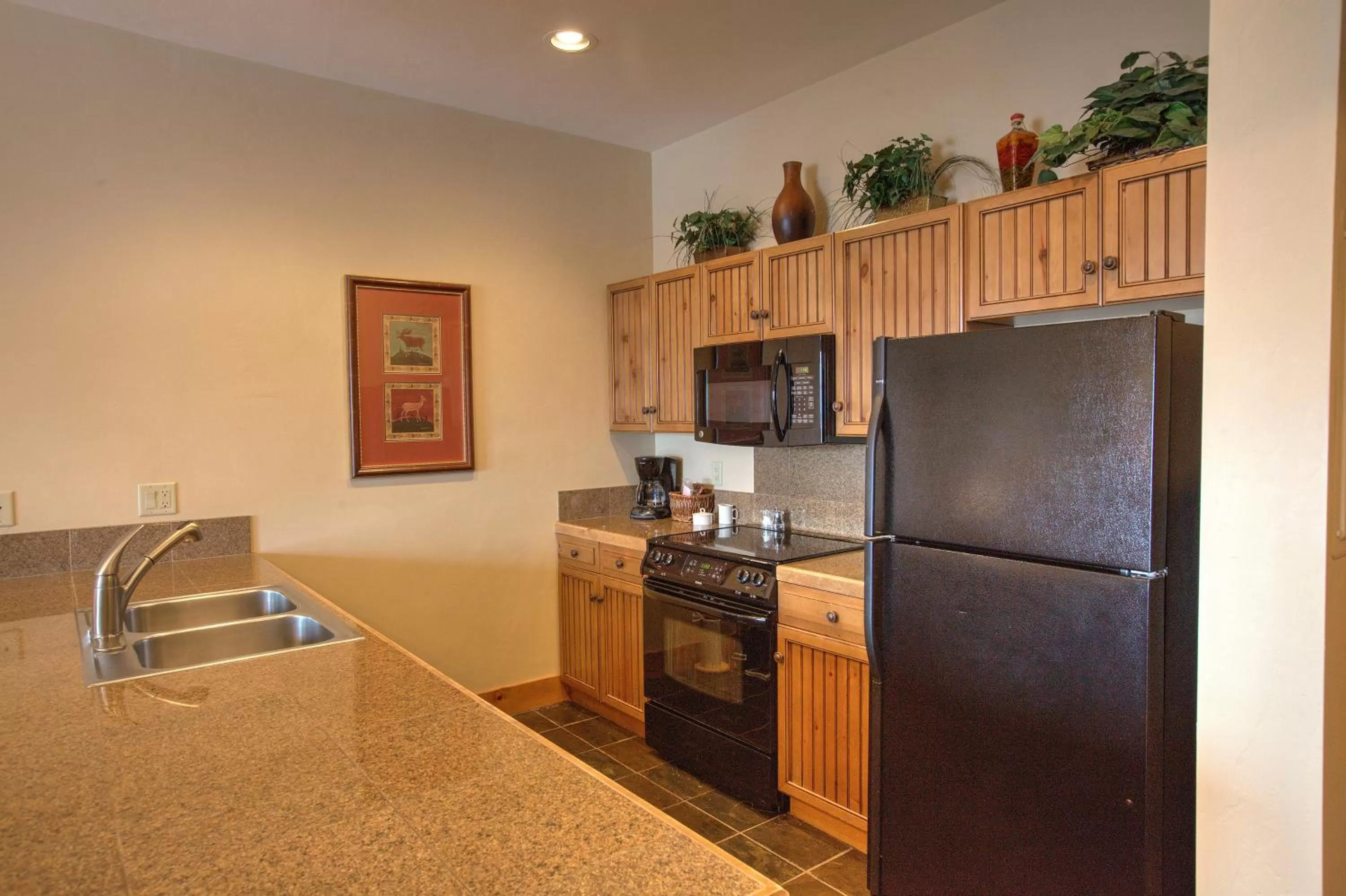 Three-Bedroom Apartment in Mountain Thunder Lodge