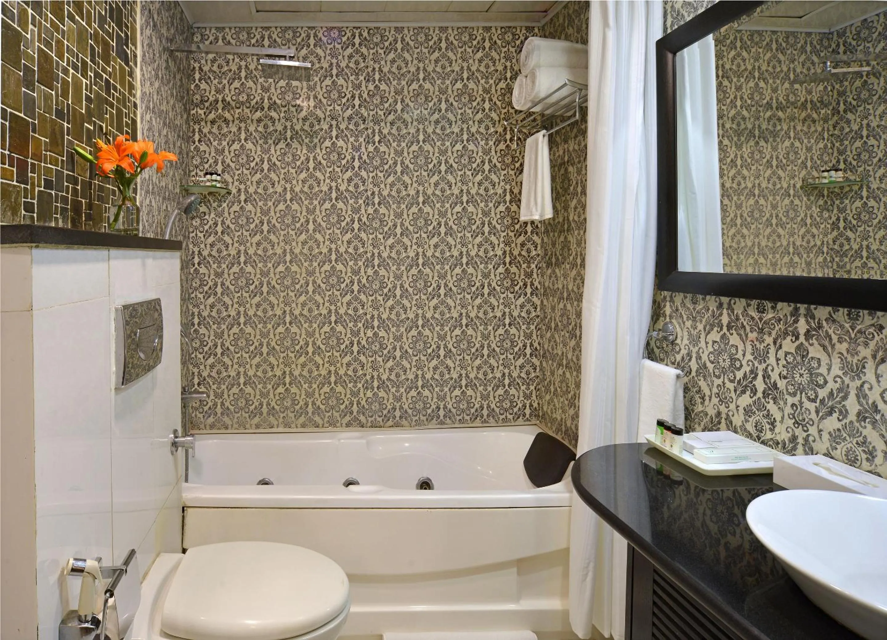 Executive Double Room - single occupancy in Taurus Sarovar Portico