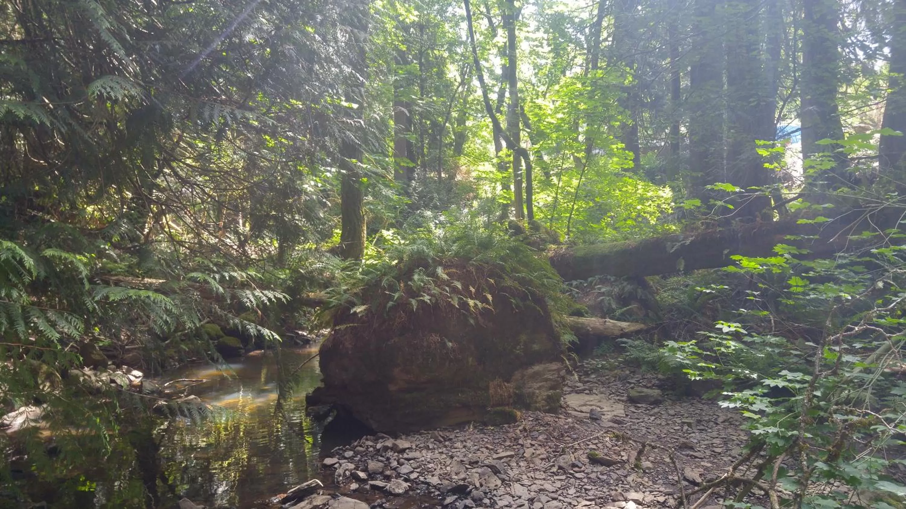 Queen Room with Garden View in Scott Creek Farm