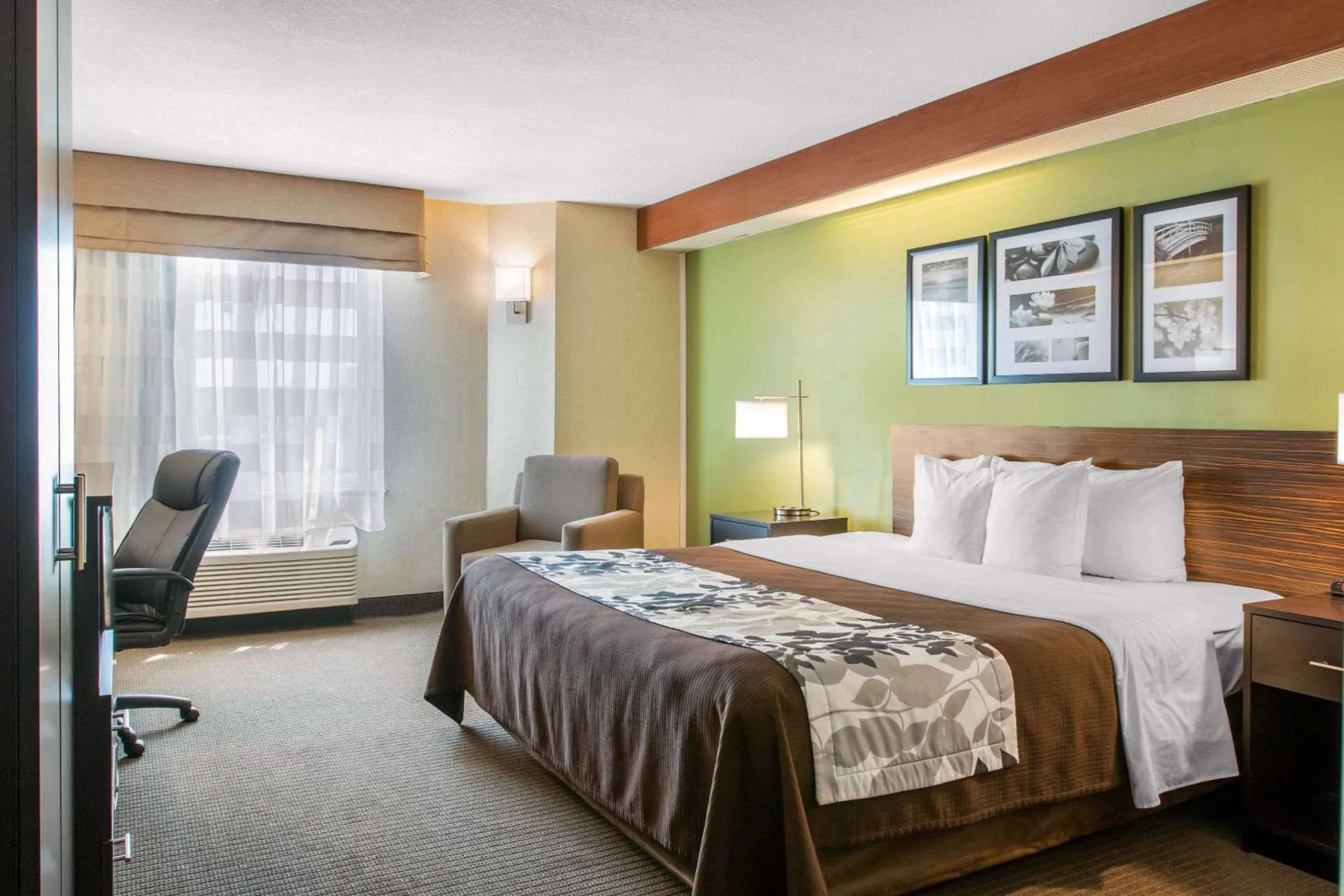 King Room - Non-Smoking in Sleep Inn & Suites Oregon - Toledo