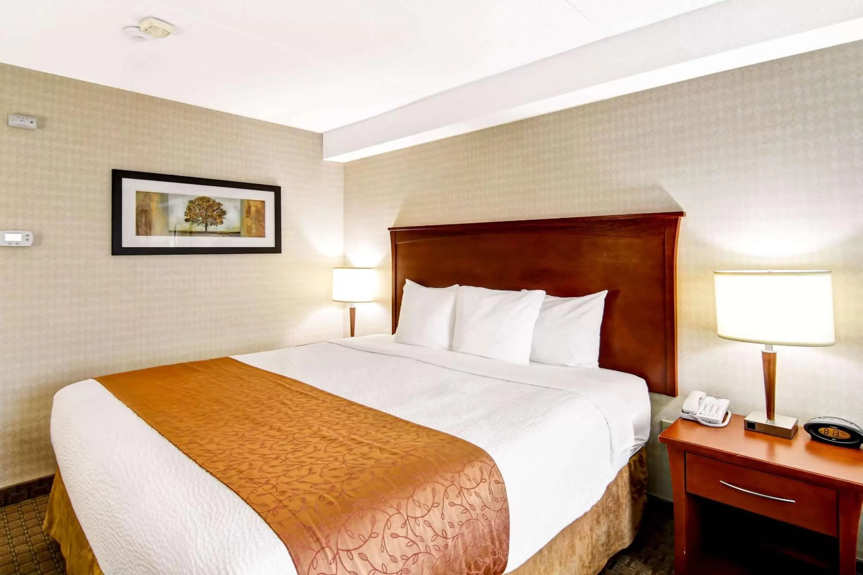 Standard King Room with Sofa Bed - Non-Smoking in Quality Inn