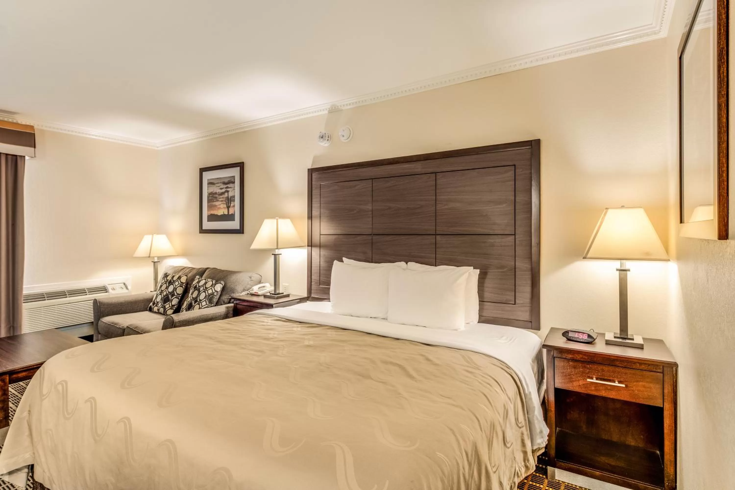 Standard King Room - Non Smoking in Quality Inn Ozona I-10