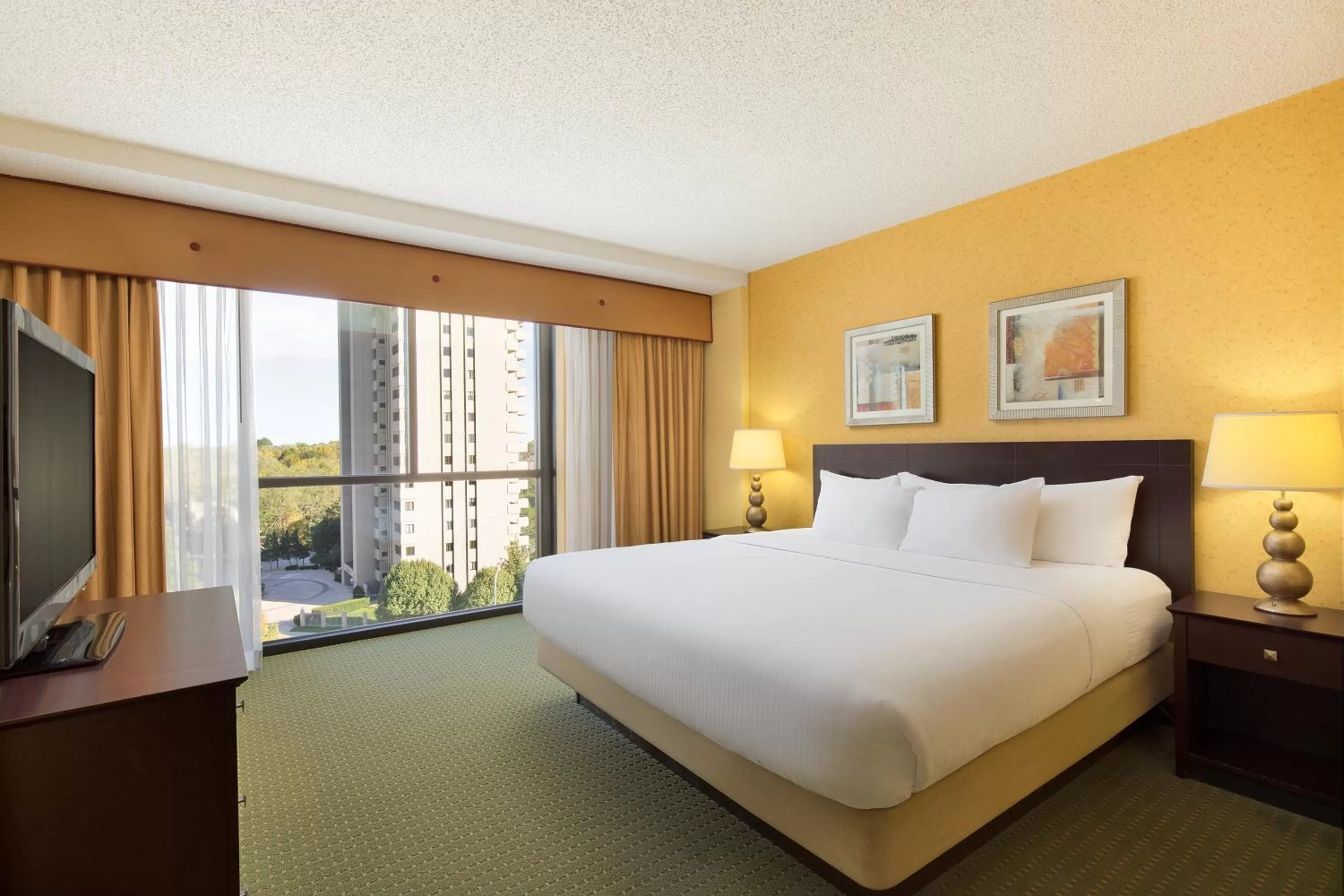 King Room in University Plaza Hotel