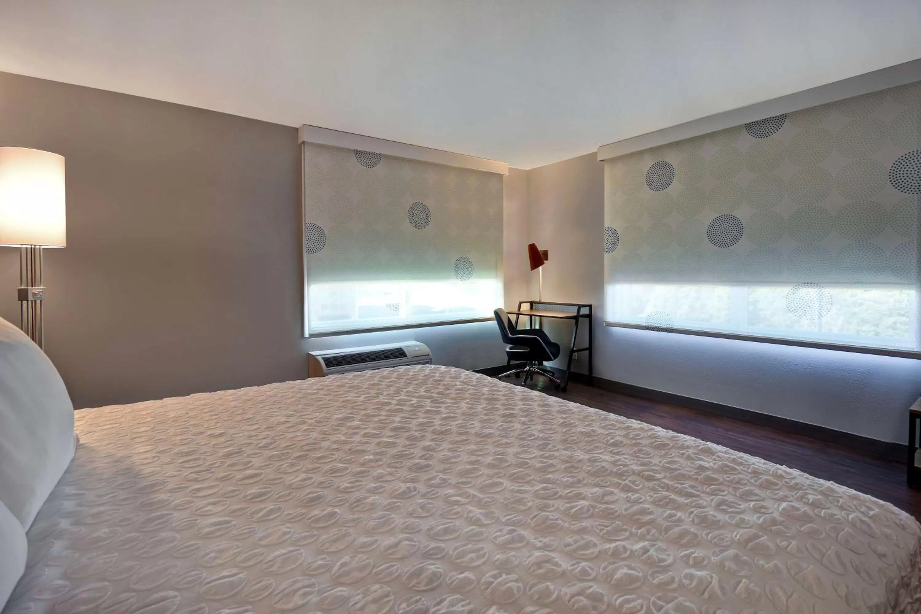 King Room with Bath Tub - Mobility Access in Tru By Hilton Rockwall Dallas, Tx