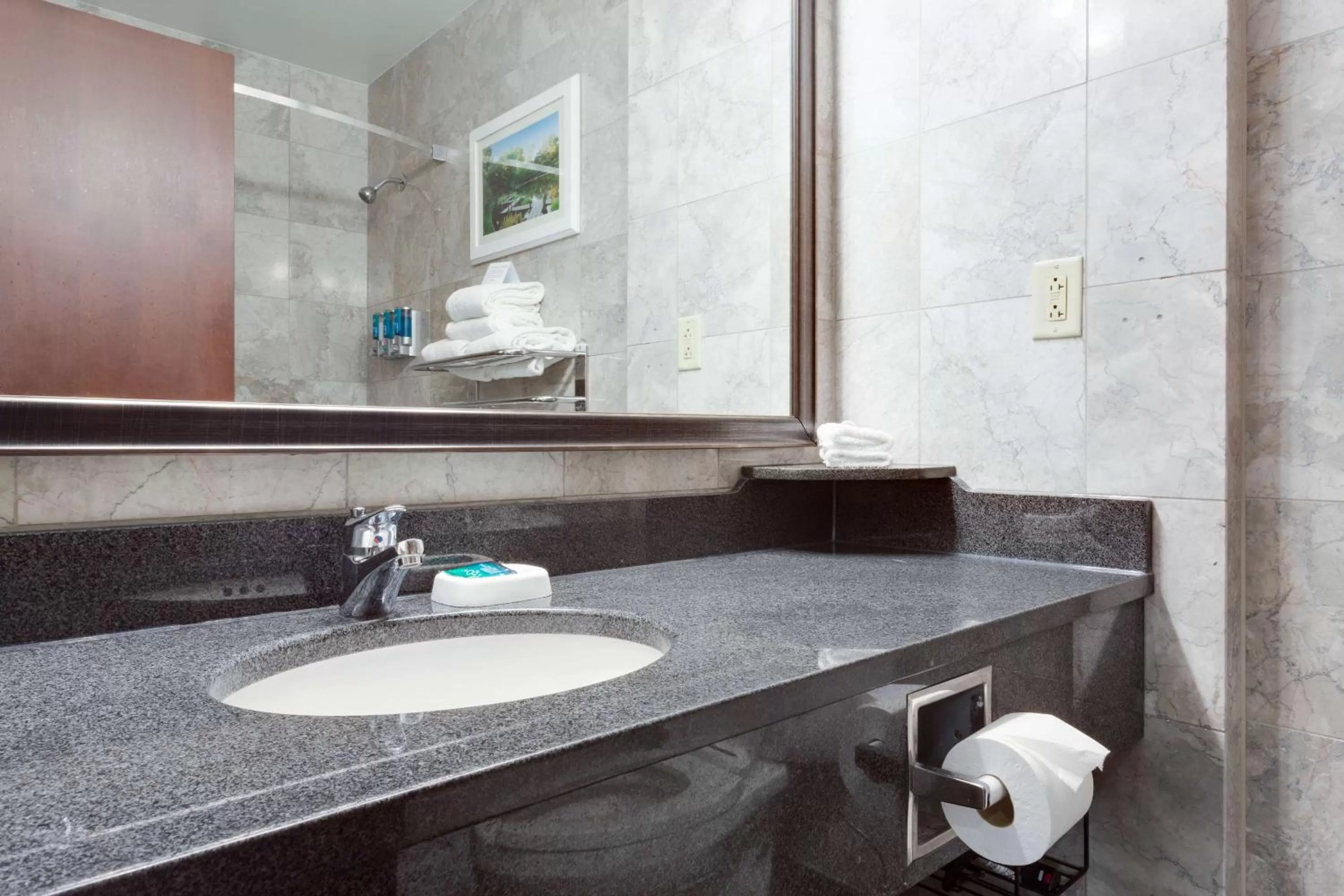 Deluxe King Room with Sofa Bed - Interior in Drury Plaza St. Louis at the Arch