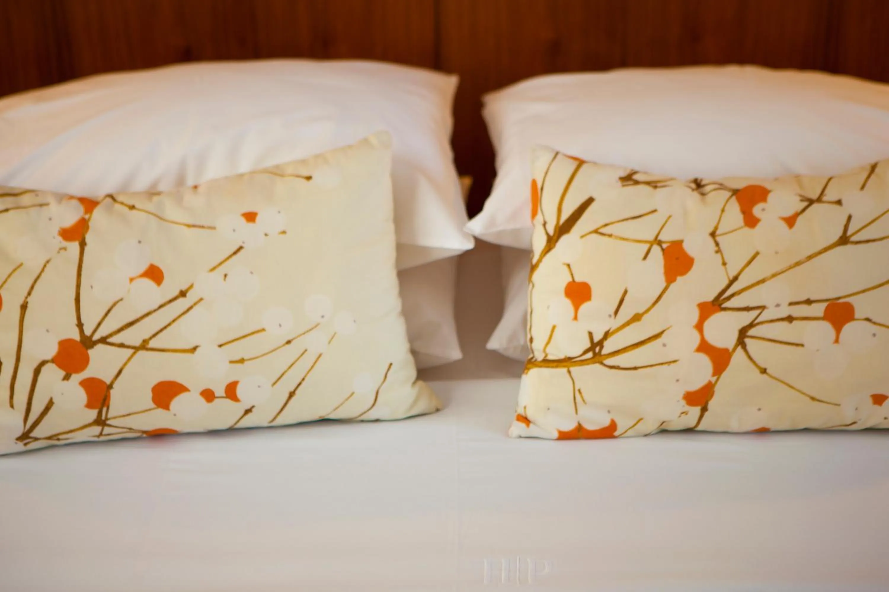 Single Room in Philippos Hotel