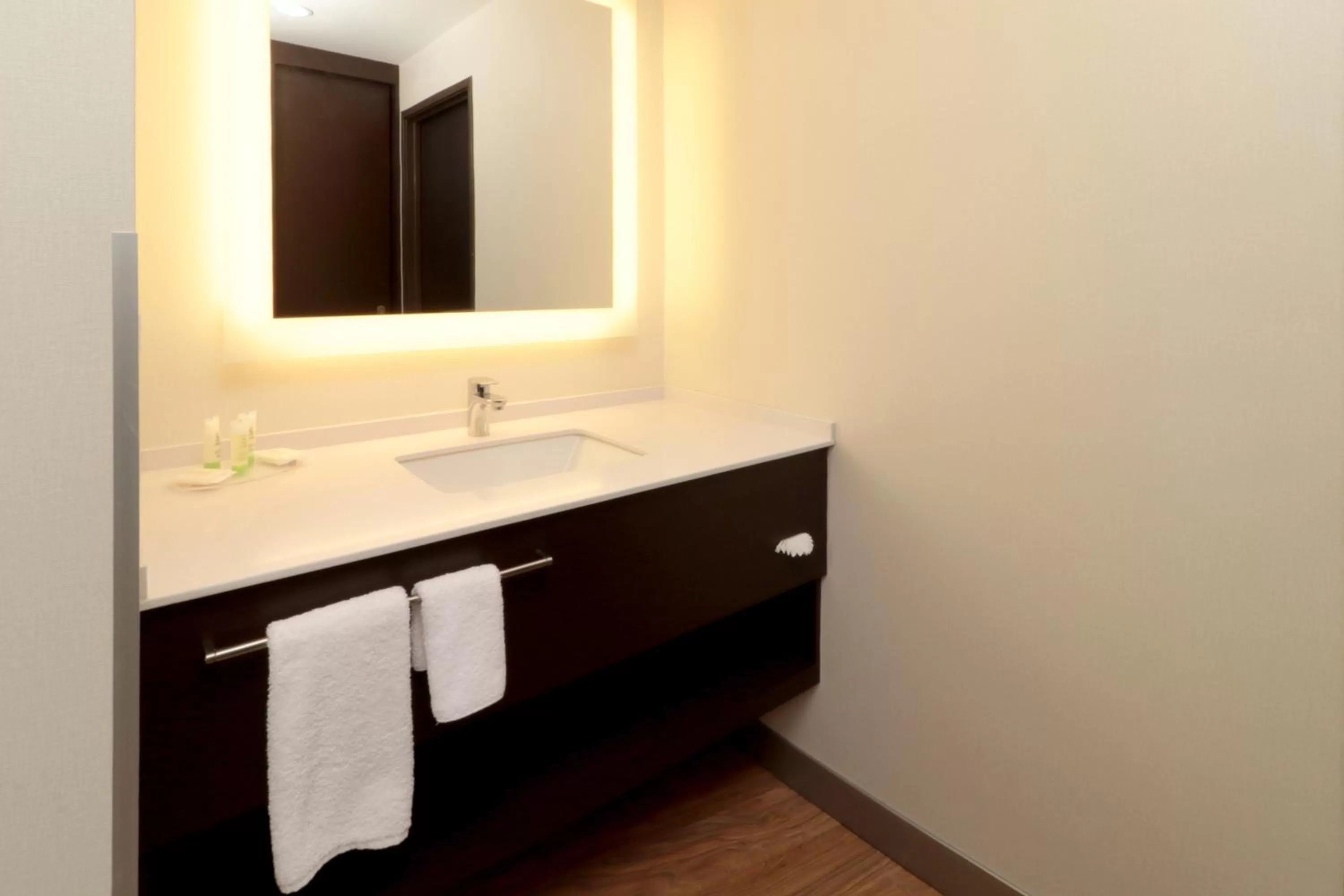 King Studio Suite in Staybridge Suites San Luis Potosi by IHG