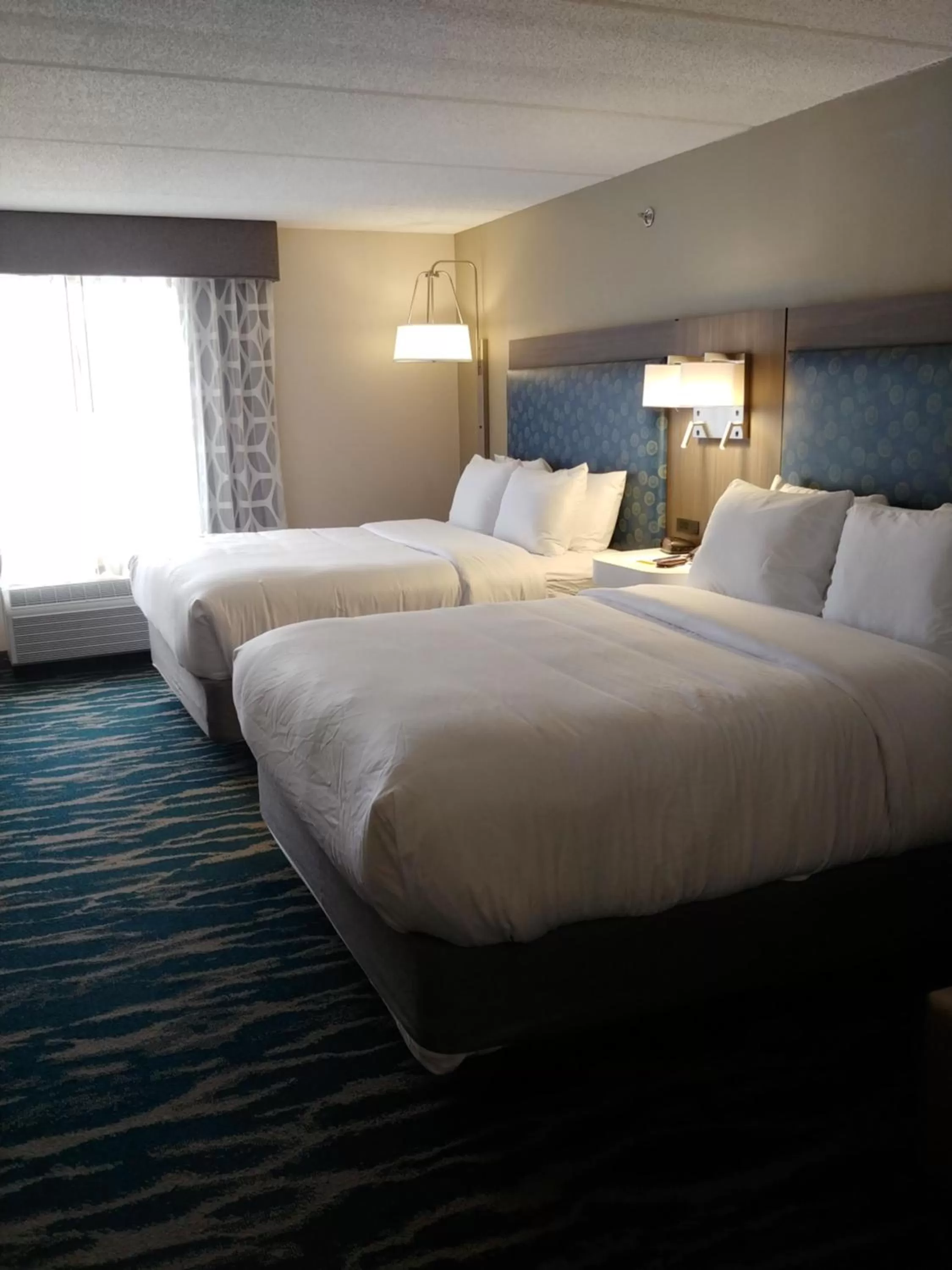 Standard Queen Room with Two Queen Beds - Non-Smoking in Comfort Inn & Suites Greenville Near Convention Center