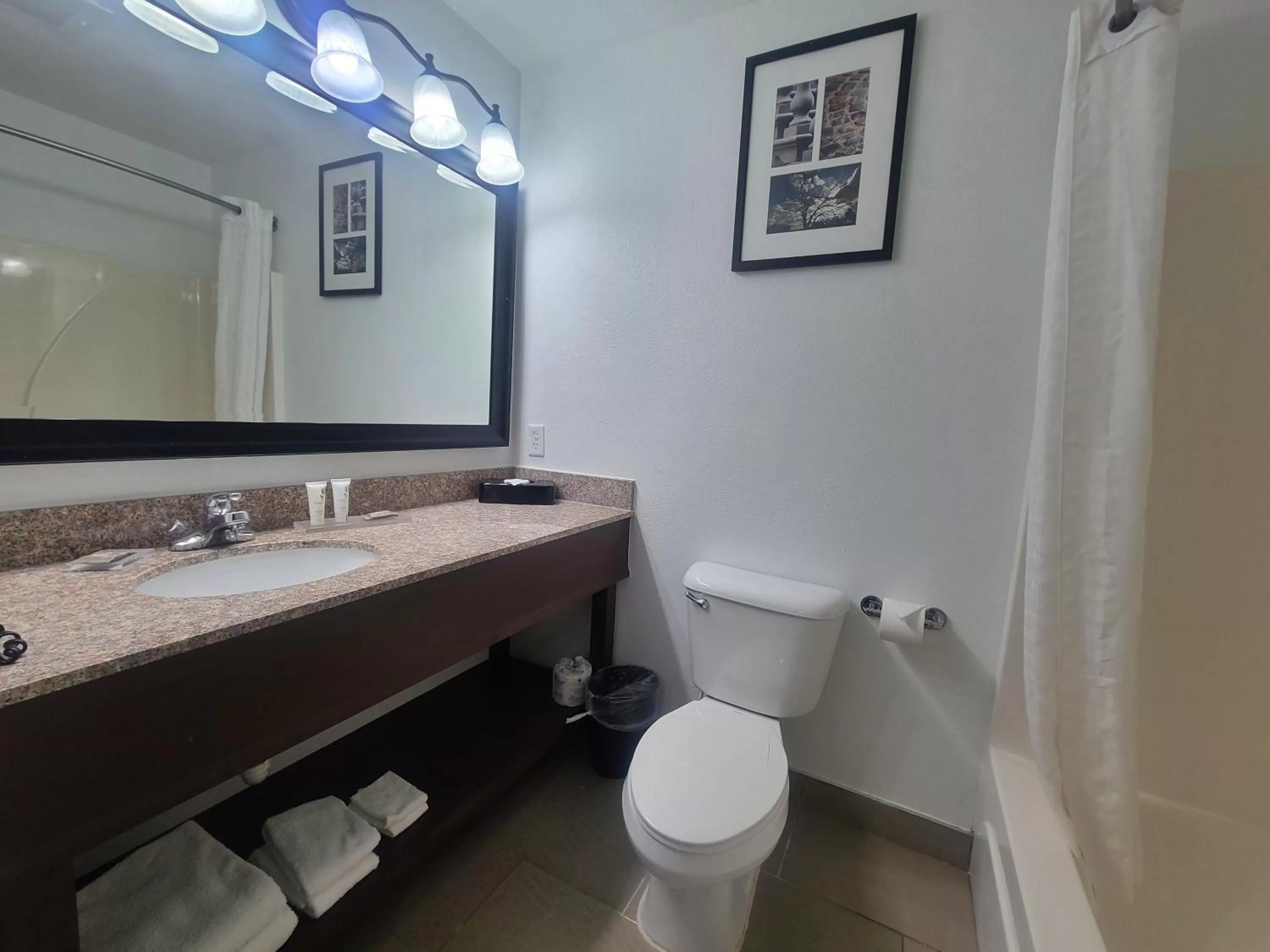 King Studio Suite with Sofa Bed - Non-Smoking in Country Inn & Suites by Radisson, Paducah, KY