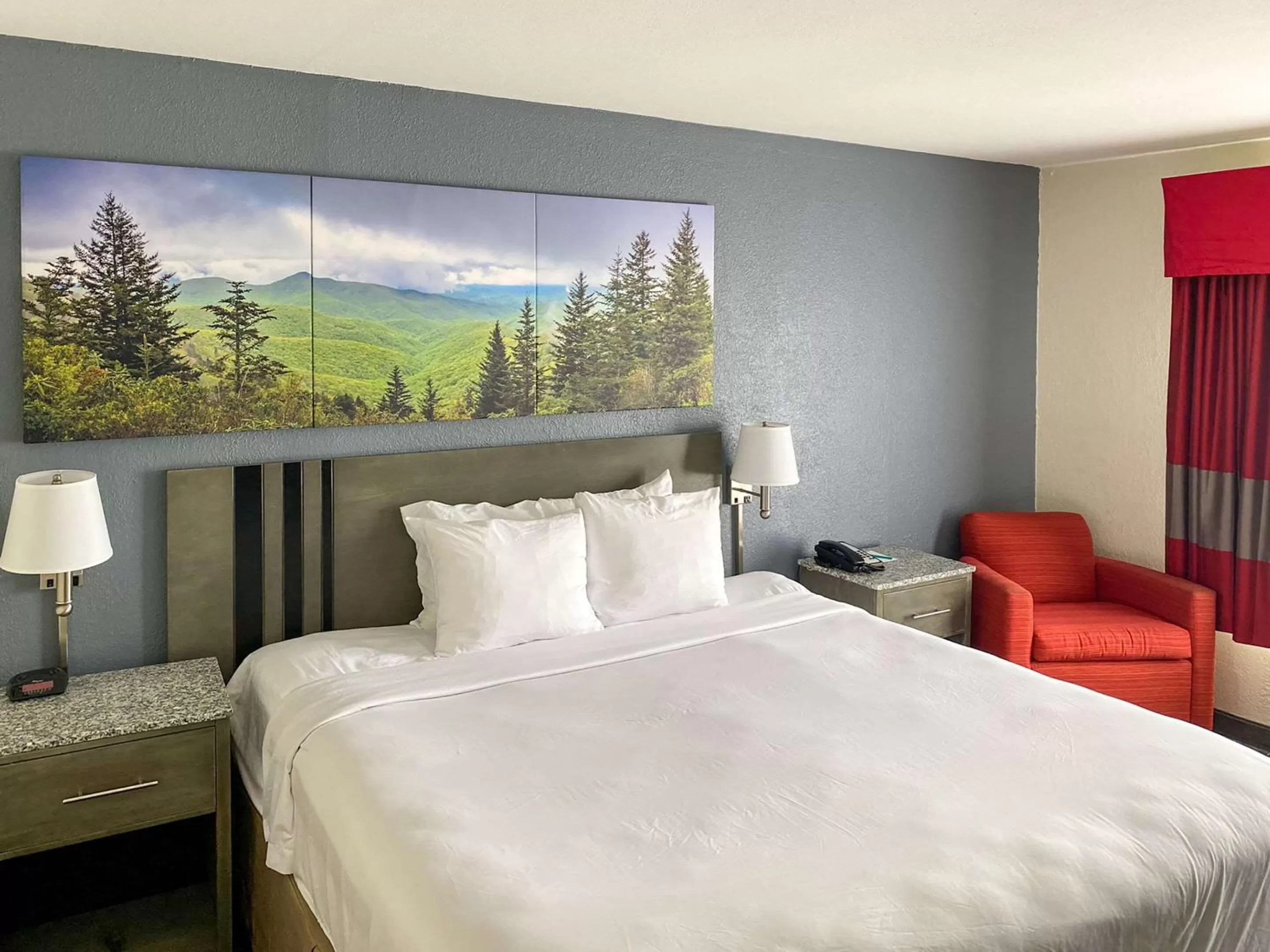 King Room - Accessible/Non Smoking in Clarion Pointe - Greensboro Coliseum Area