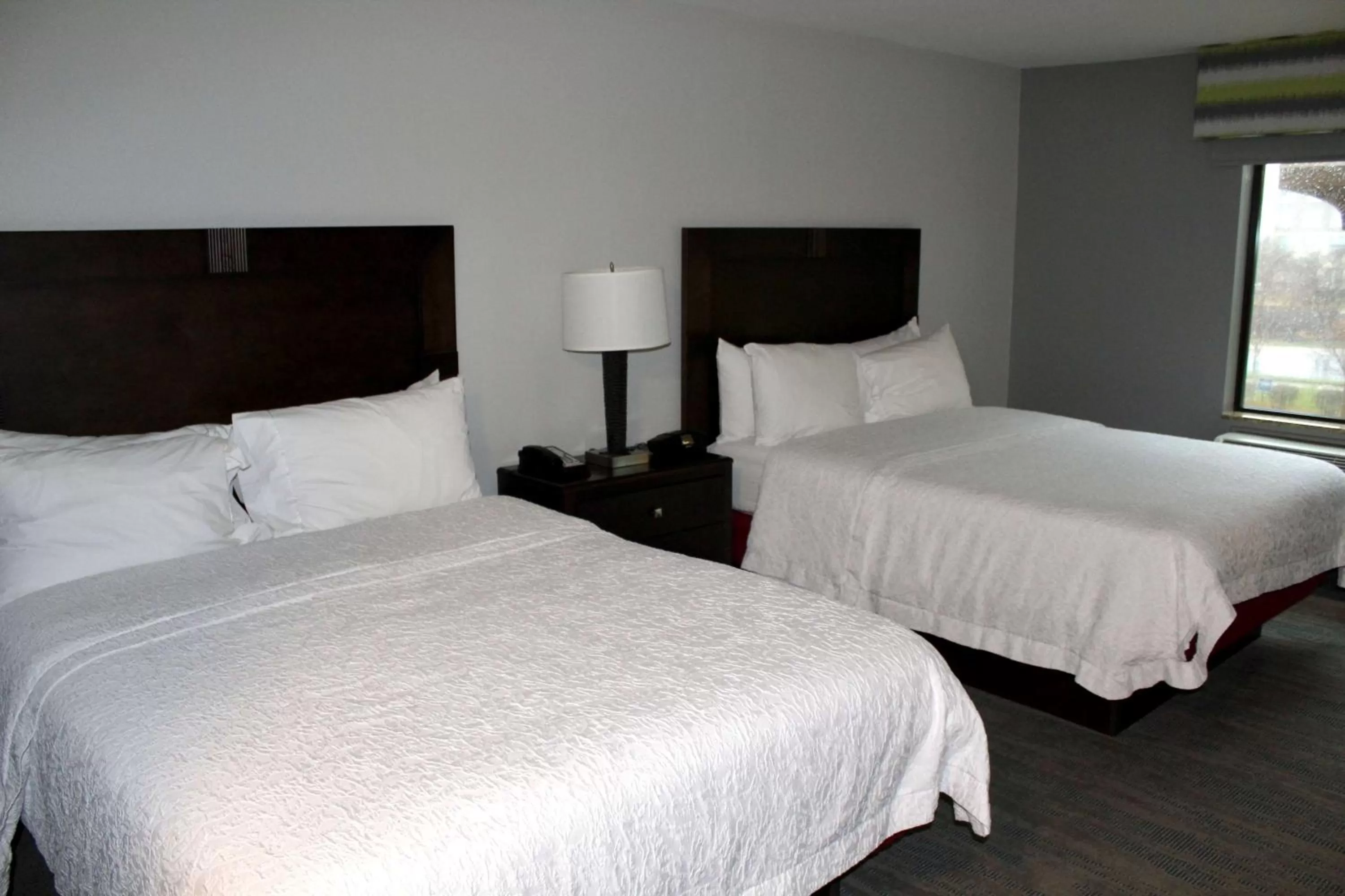 Queen Room with Two Queen Beds - single occupancy - Non-Smoking in Hampton Inn Indianapolis NW/Zionsville