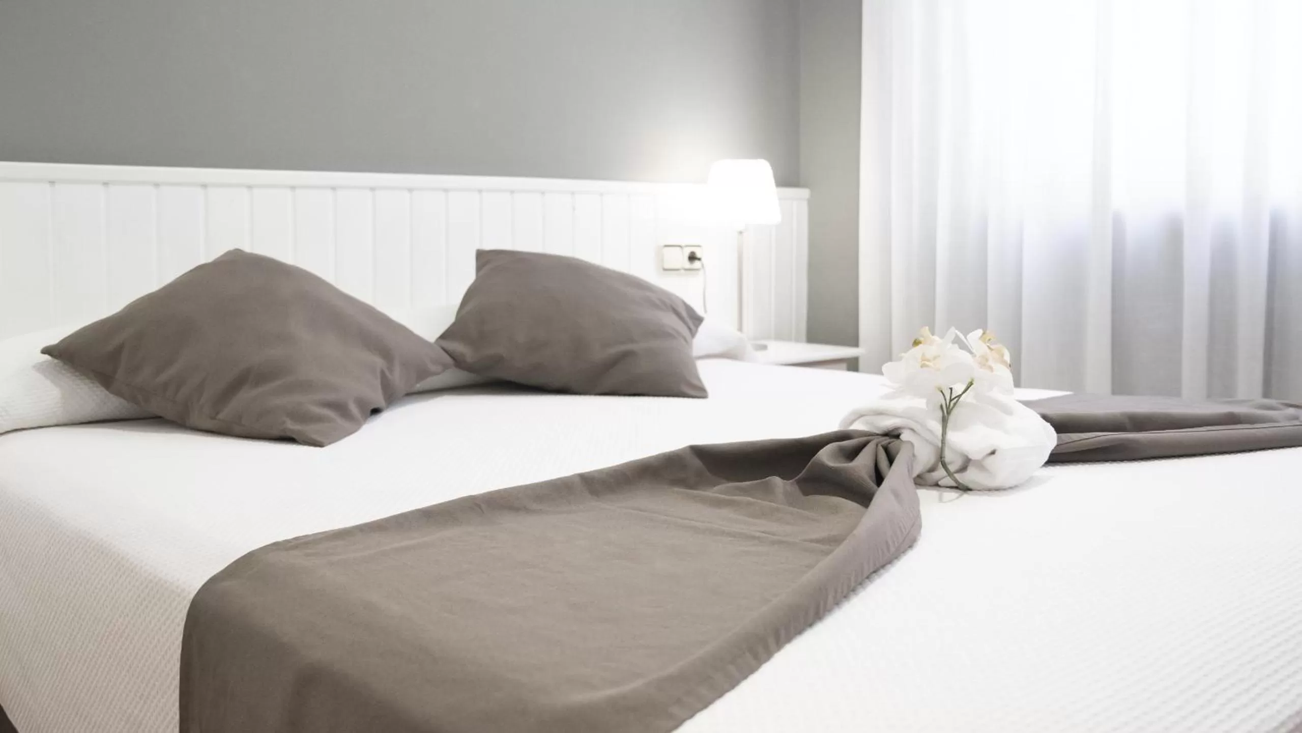 Double Room - single occupancy in Hotel Isabel de Segura