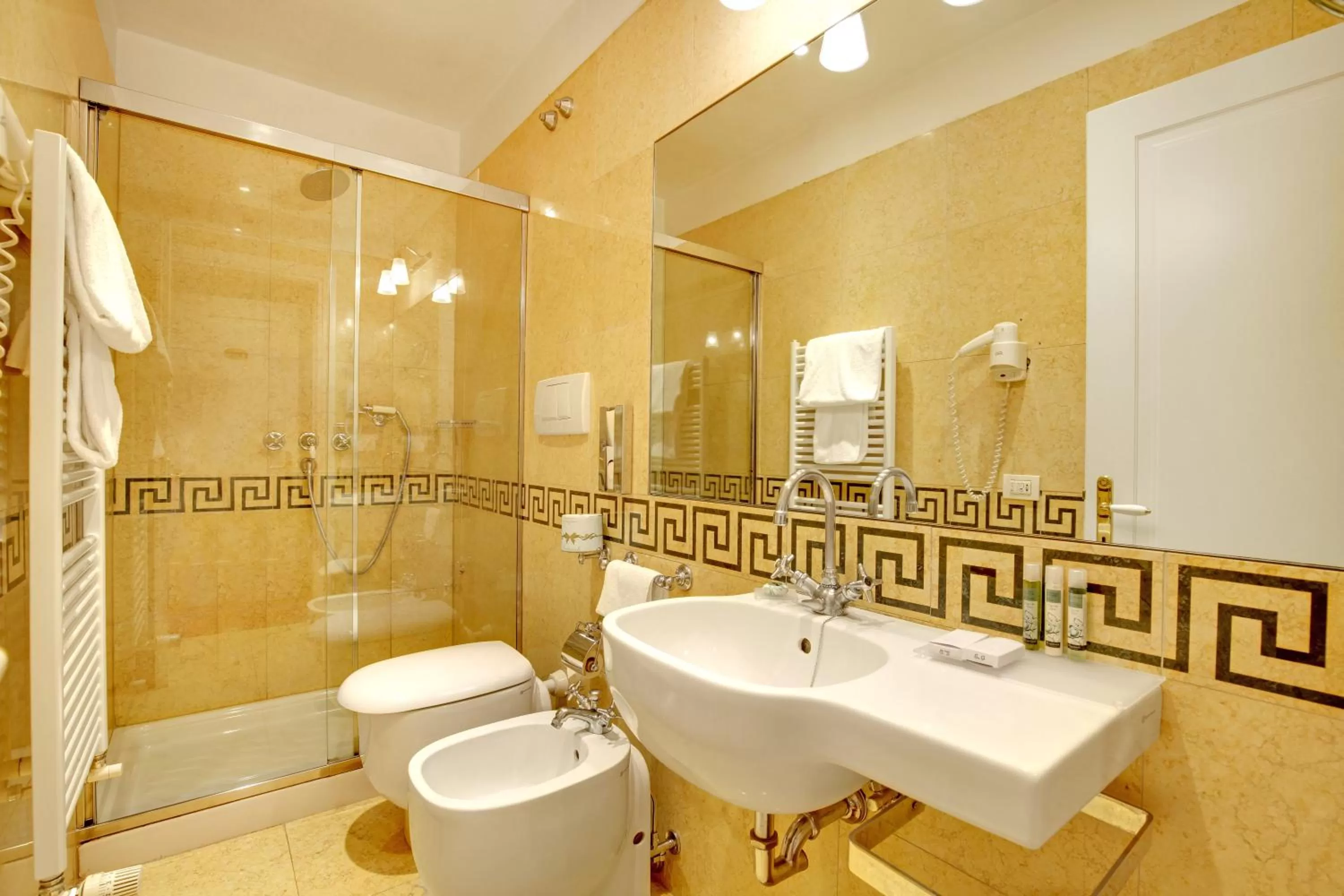 Classic Double Room in Hotel Donà Palace