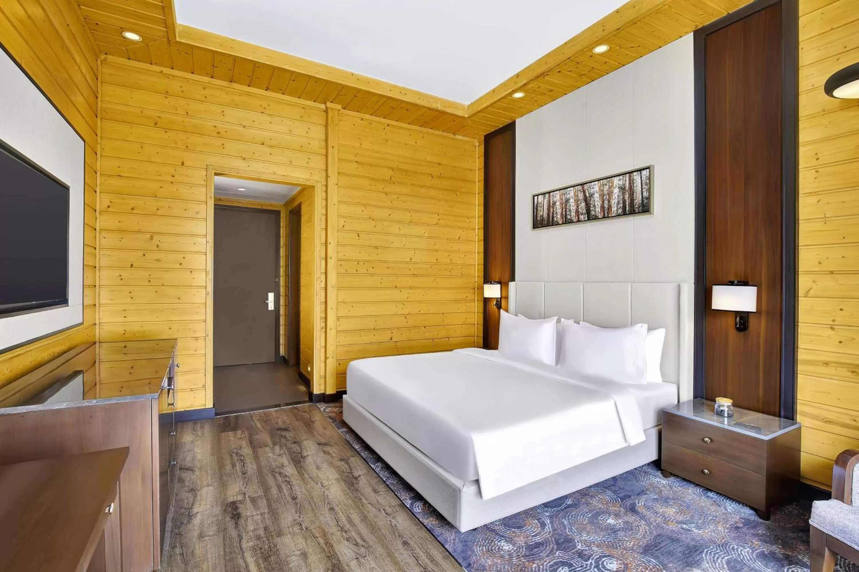 Deluxe Room - single occupancy in Radisson Blu Resort Dharamshala