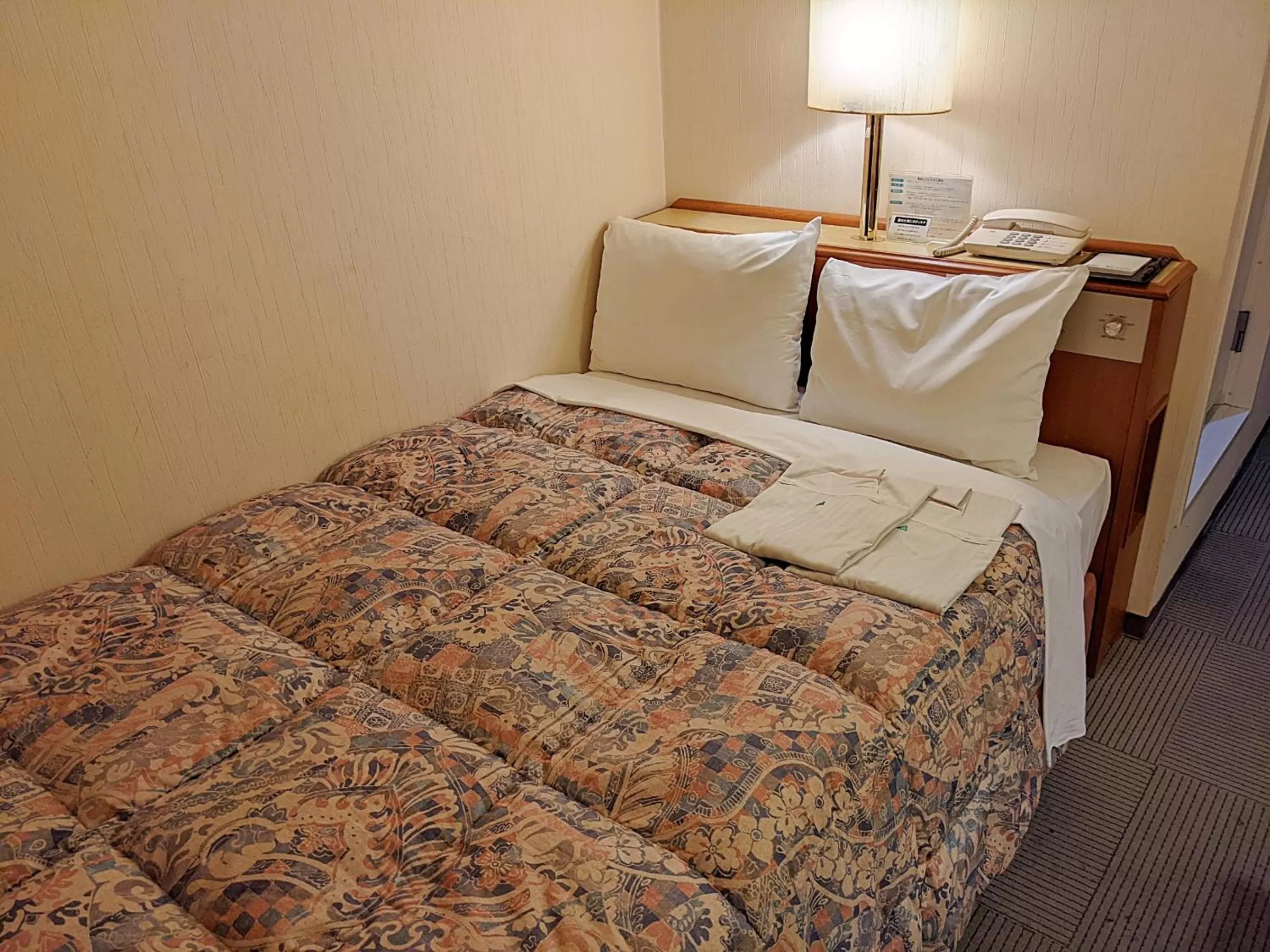 Economy Double Room - single occupancy in Ace Inn Kariya