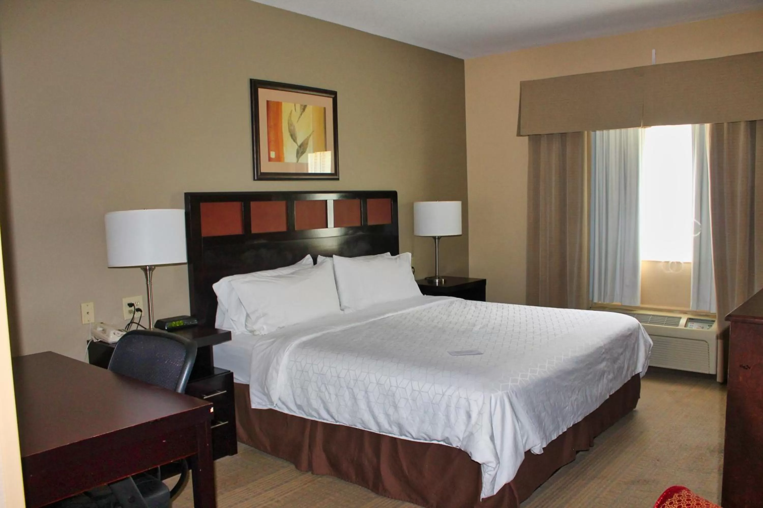 King Room - Non-Smoking in Holiday Inn Express Palestine by IHG