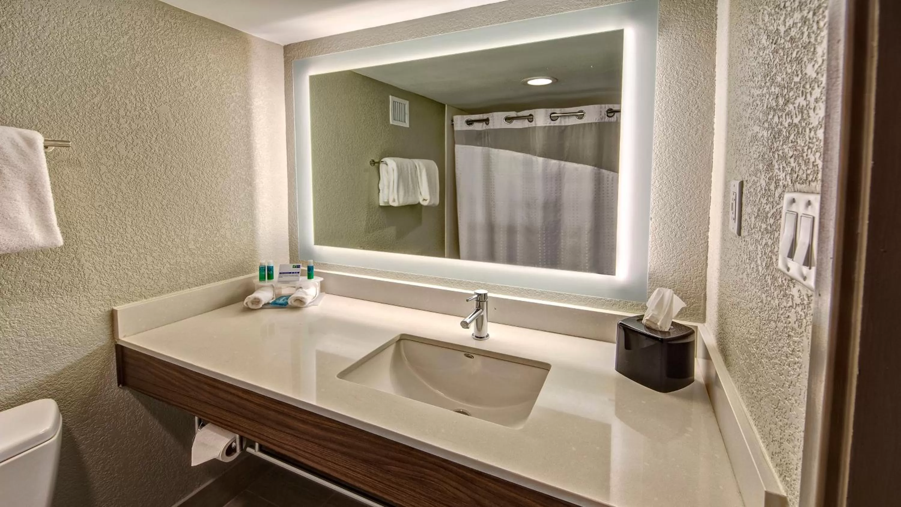 Standard King Room in Holiday Inn Express Louisville Airport Expo Center by IHG