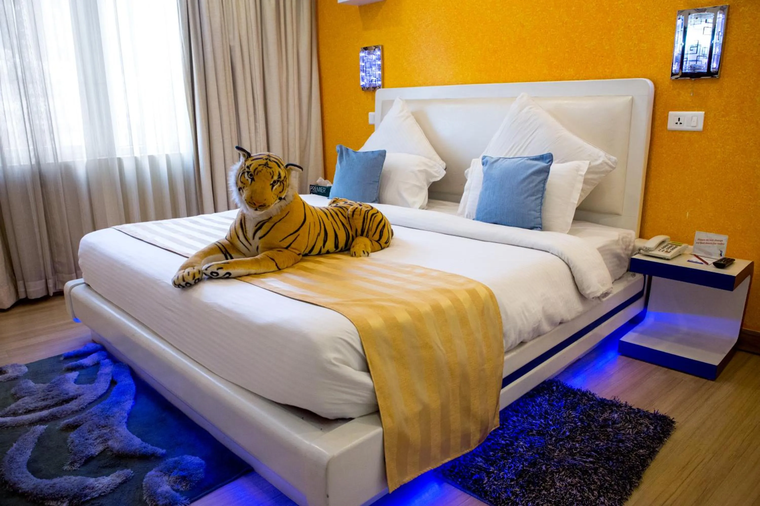 Junior Suite in Royal Penguin Boutique Hotel & Spa