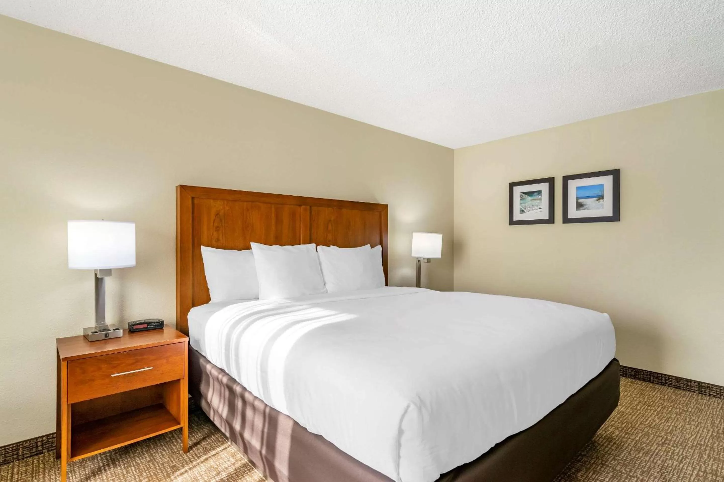 One-Bedroom King Suite with Sofa Bed - Non-Smoking in Comfort Inn & Suites St Pete - Clearwater International Airport