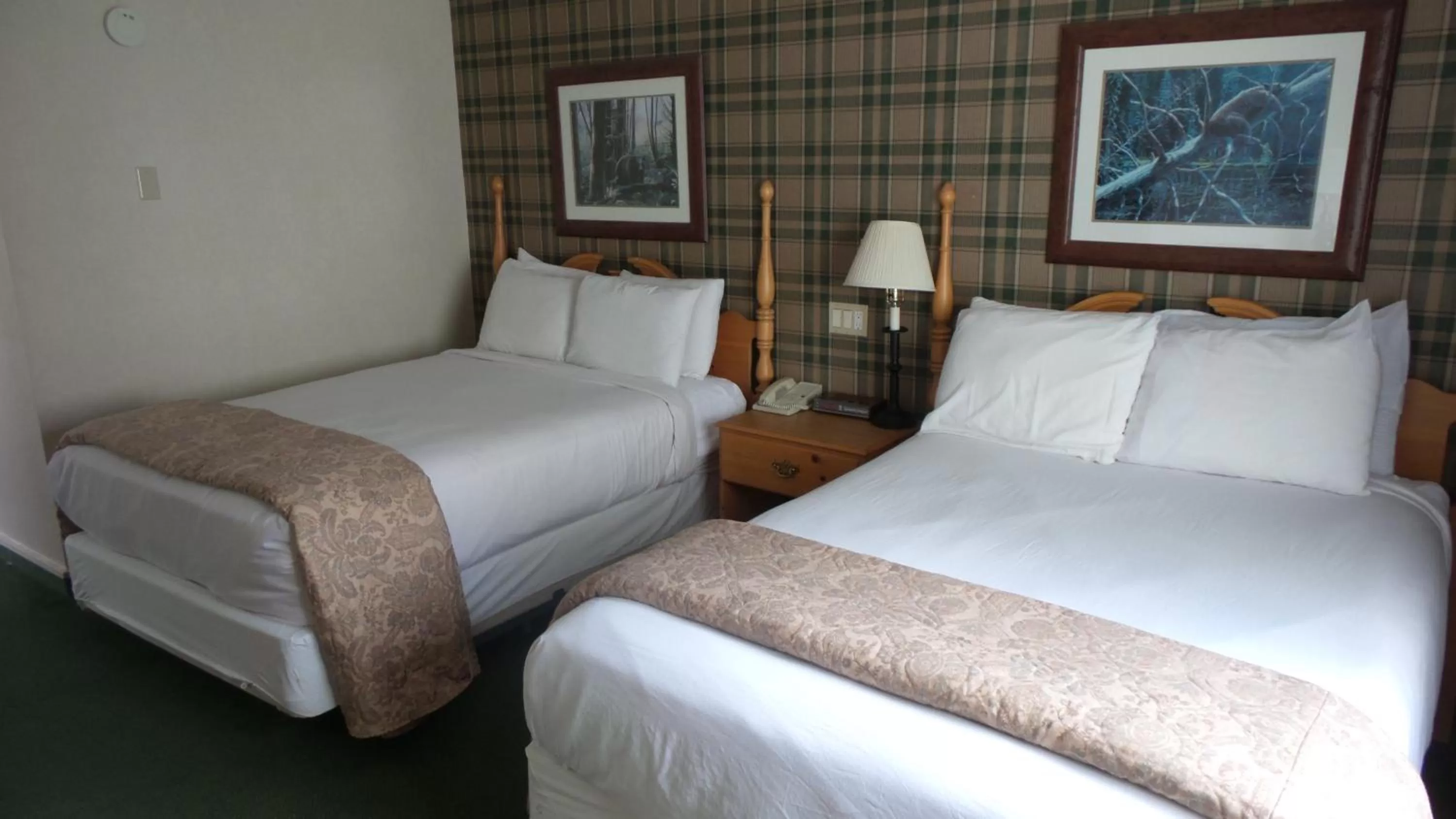 Double Room with Two Double Beds in Green Granite Inn, Ascend Hotel Collection