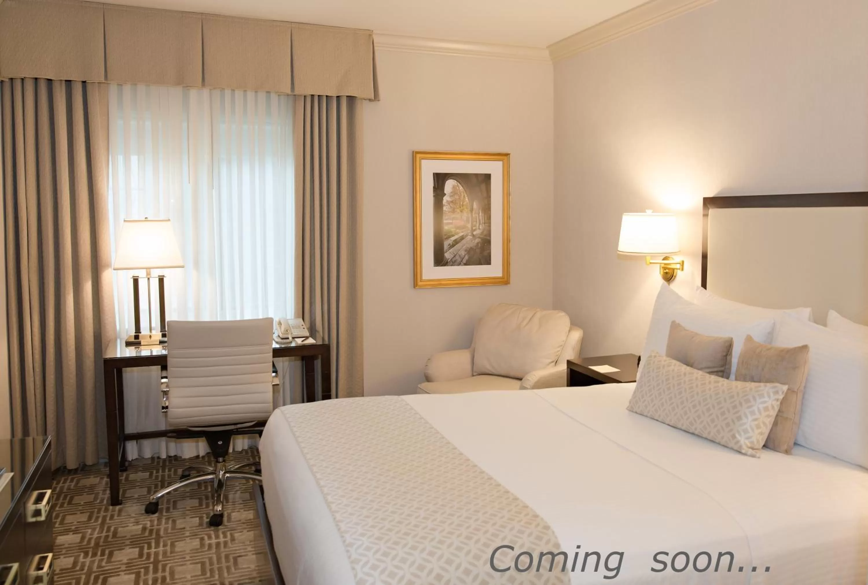 Standard Queen Room in Bell Tower Hotel