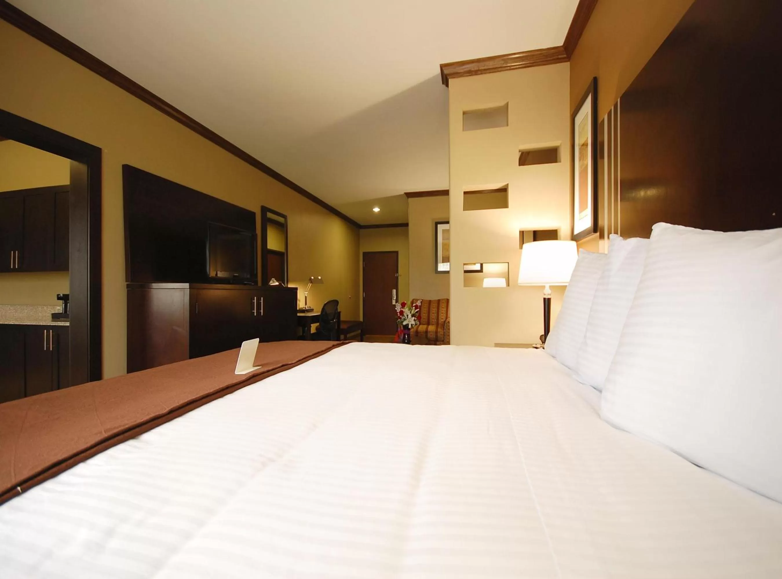 King Suite with Sofa Bed and Kitchen - Non-Smoking in Best Western Plus Texoma Hotel & Suites