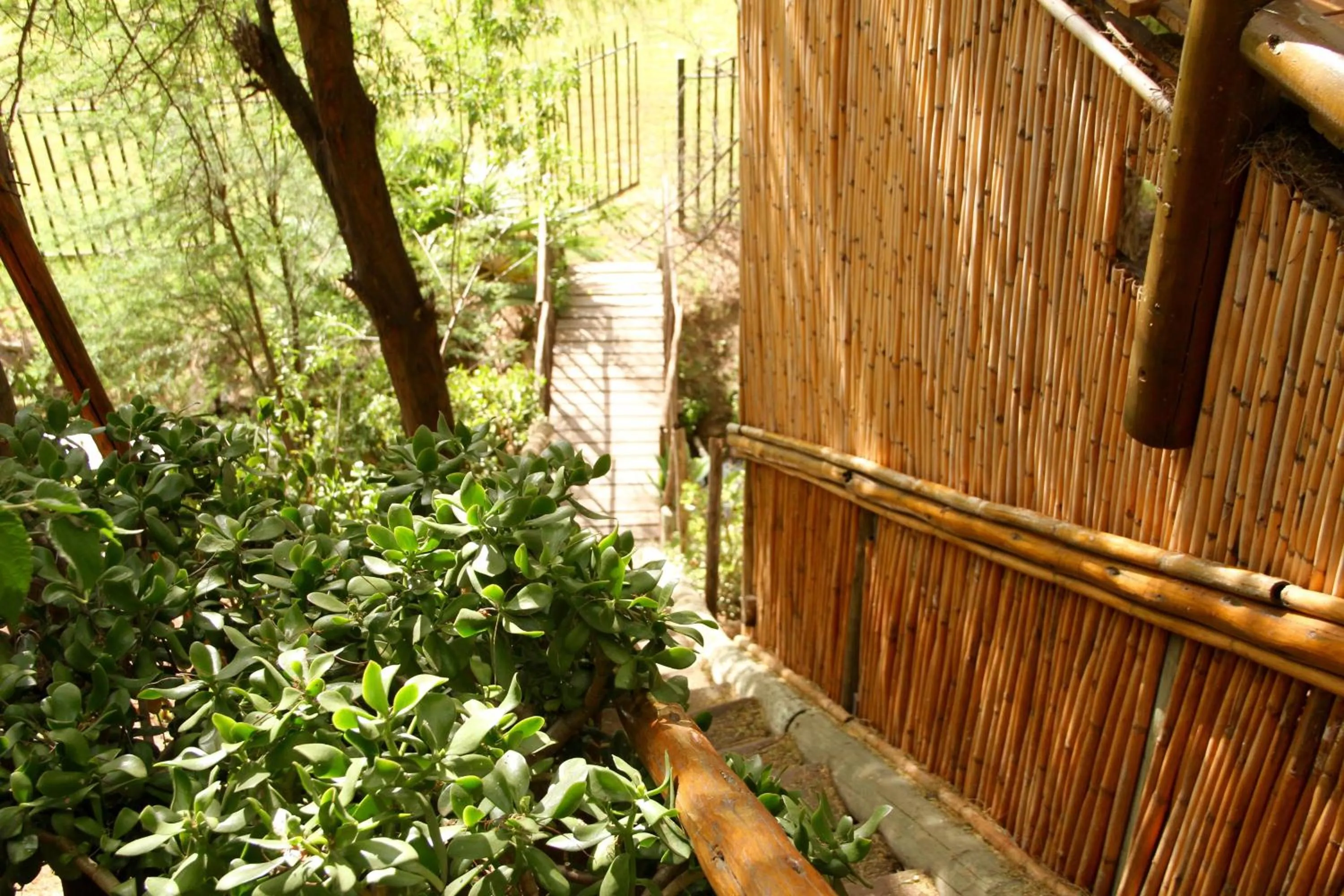 Cottage with Garden View in Riverside Guest Lodge