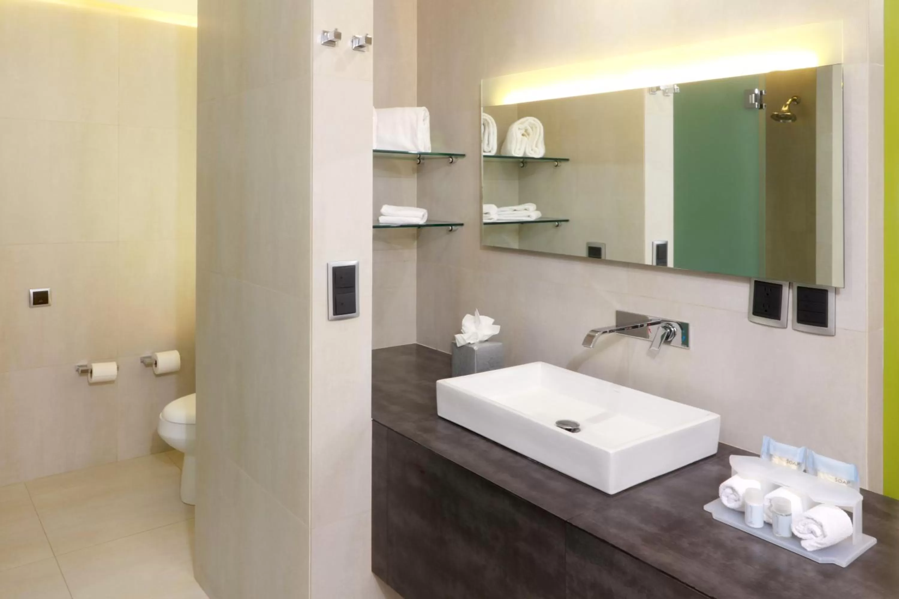 Standard King Room in Holiday Inn Express Mexico Aeropuerto by IHG