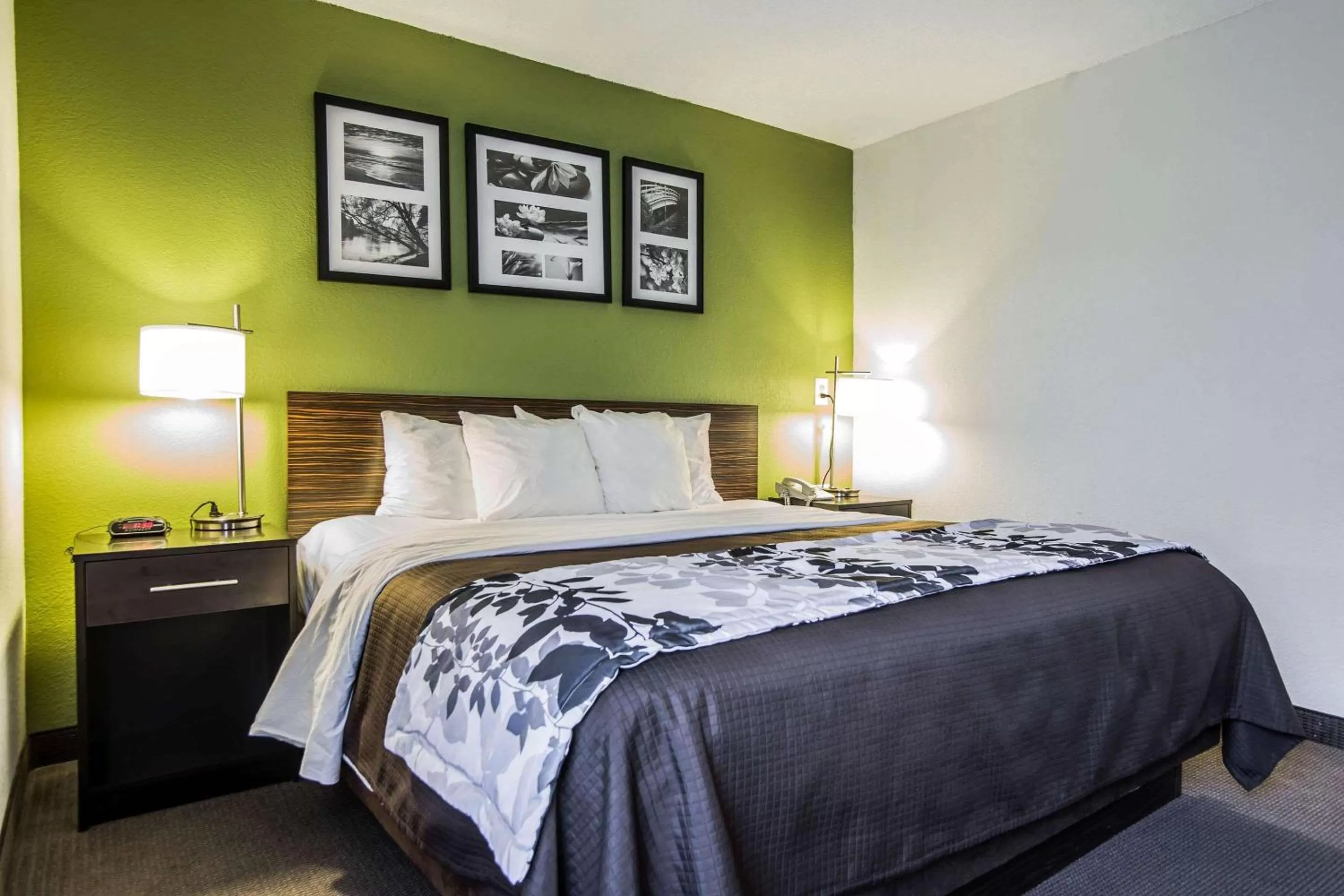 King Room with Whirlpool - Non-Smoking in Sleep Inn Columbia Airport