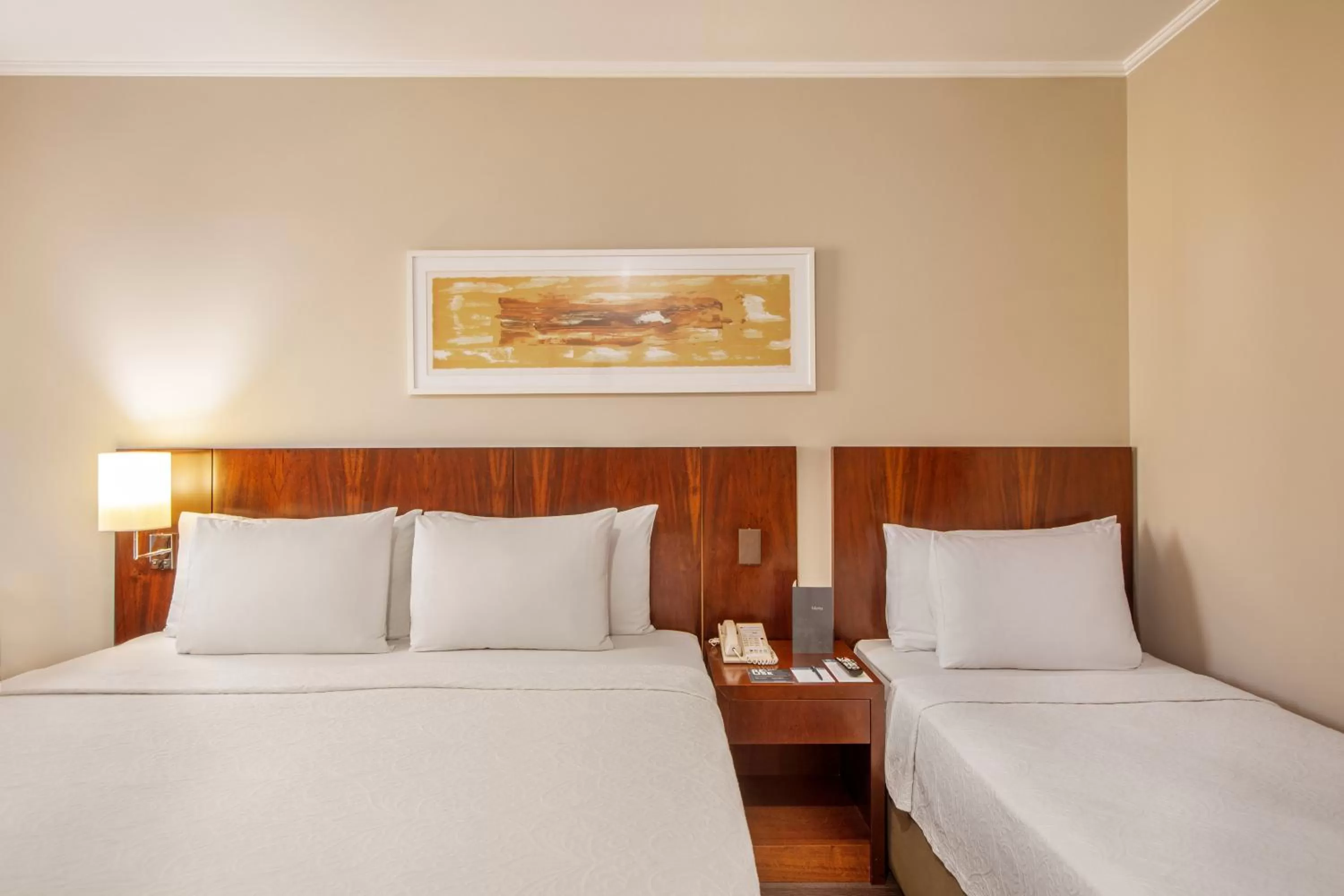 Standard Room Triple - single occupancy in São Paulo Nações Unidas Affiliated by Meliá