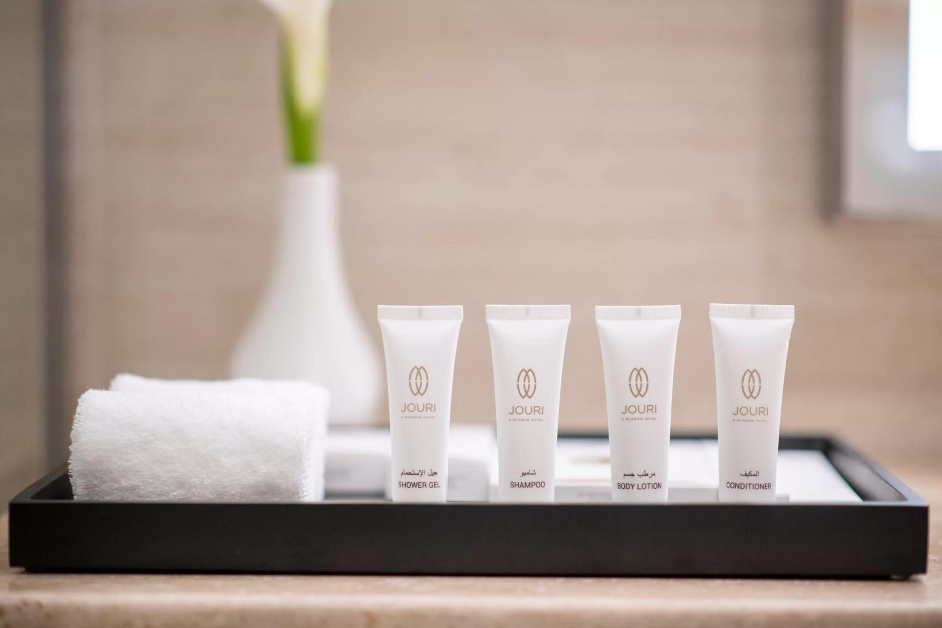 Deluxe Twin Room in Jouri a Murwab hotel Doha