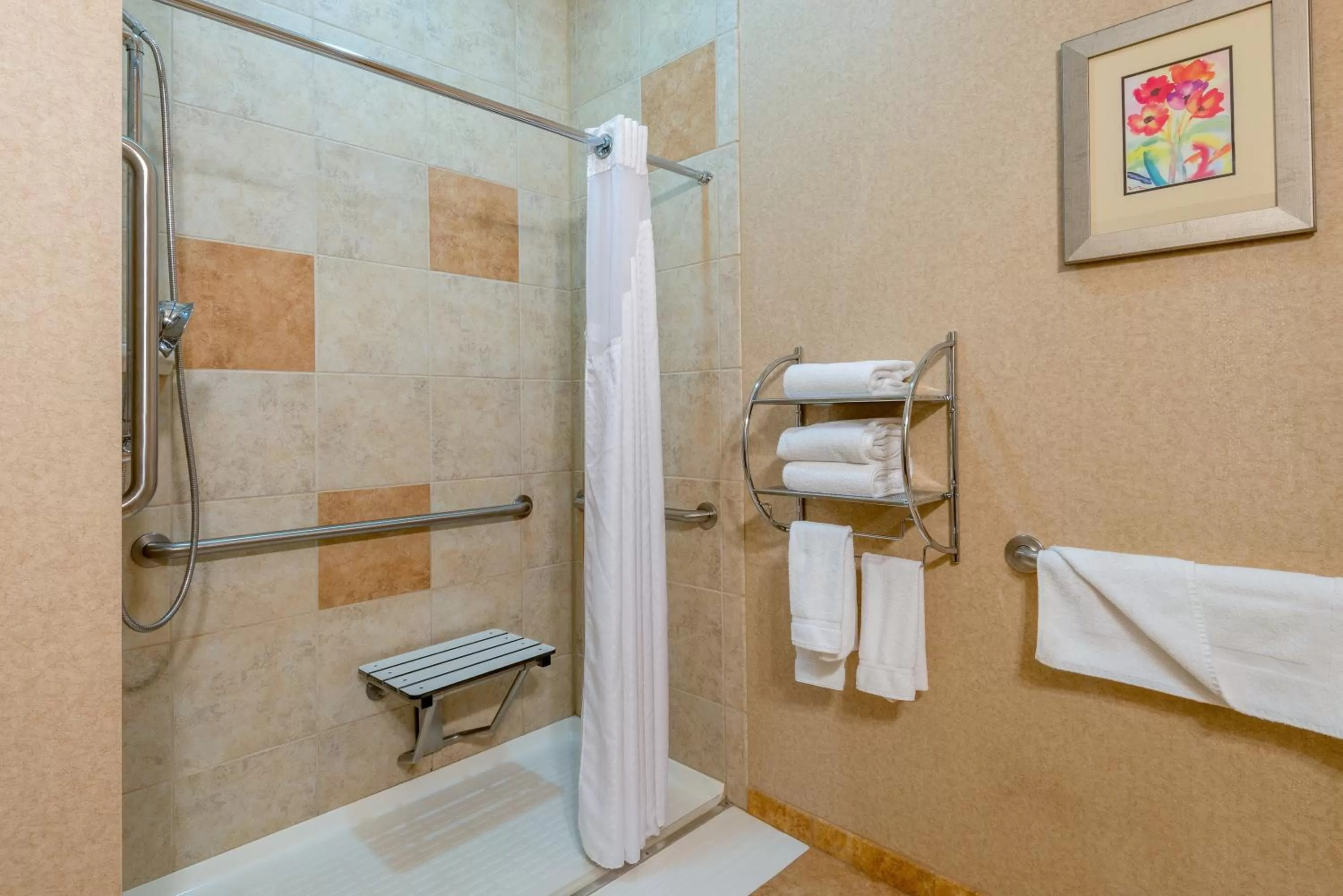 Standard King Room with Roll-in Shower - Mobility Accessible in Holiday Inn Express Hotel Vernal by IHG