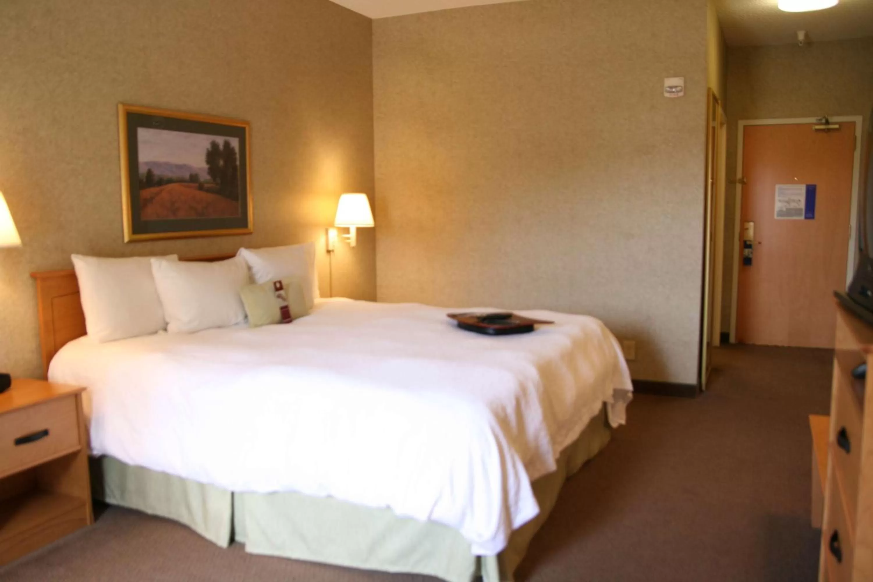 King Room with King Bed - Non-Smoking in Hampton Inn & Suites Kalamazoo-Oshtemo