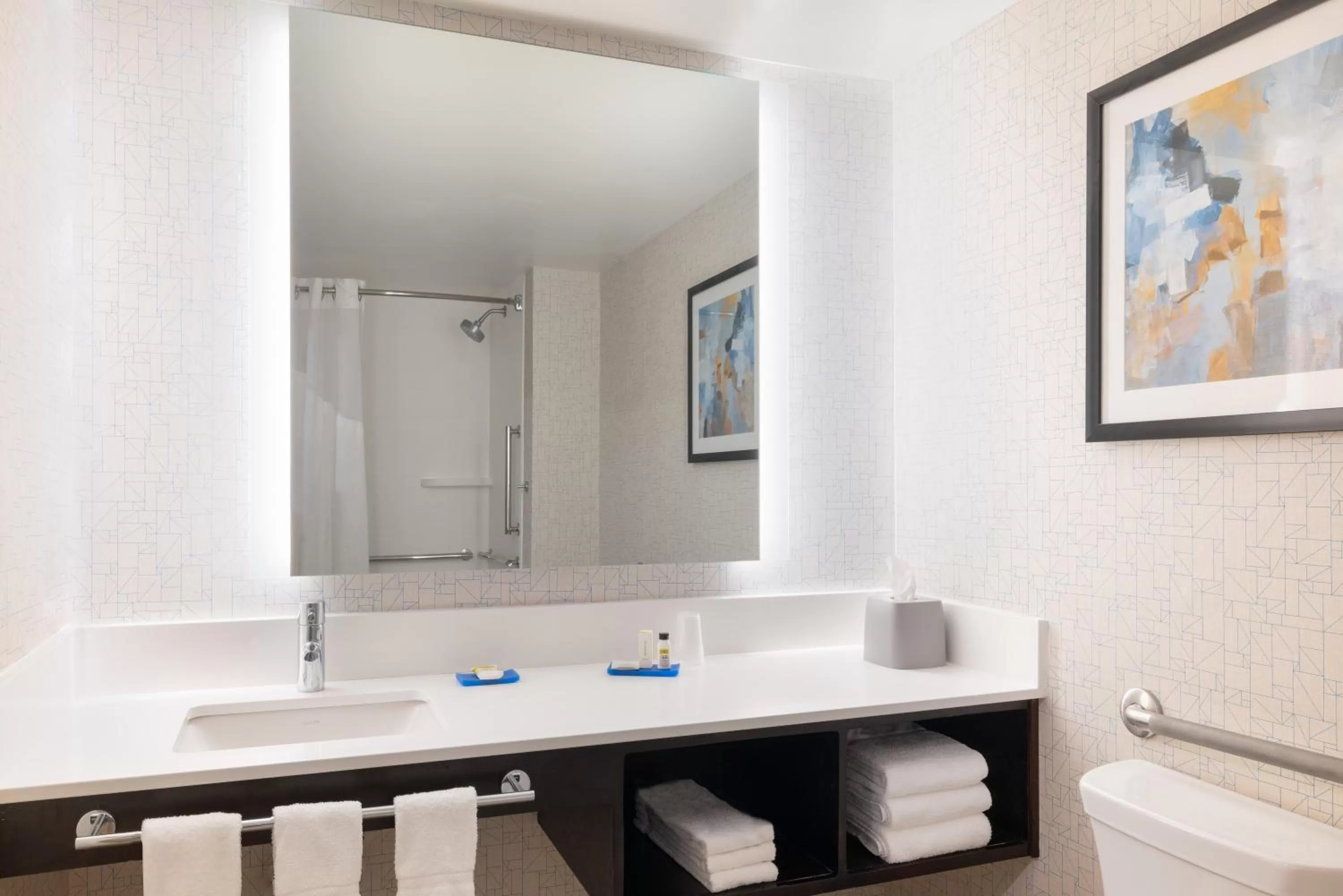 Standard King Room with Accessible Tub - Mobility Access in Holiday Inn Express & Suites Boston - Cambridge by IHG