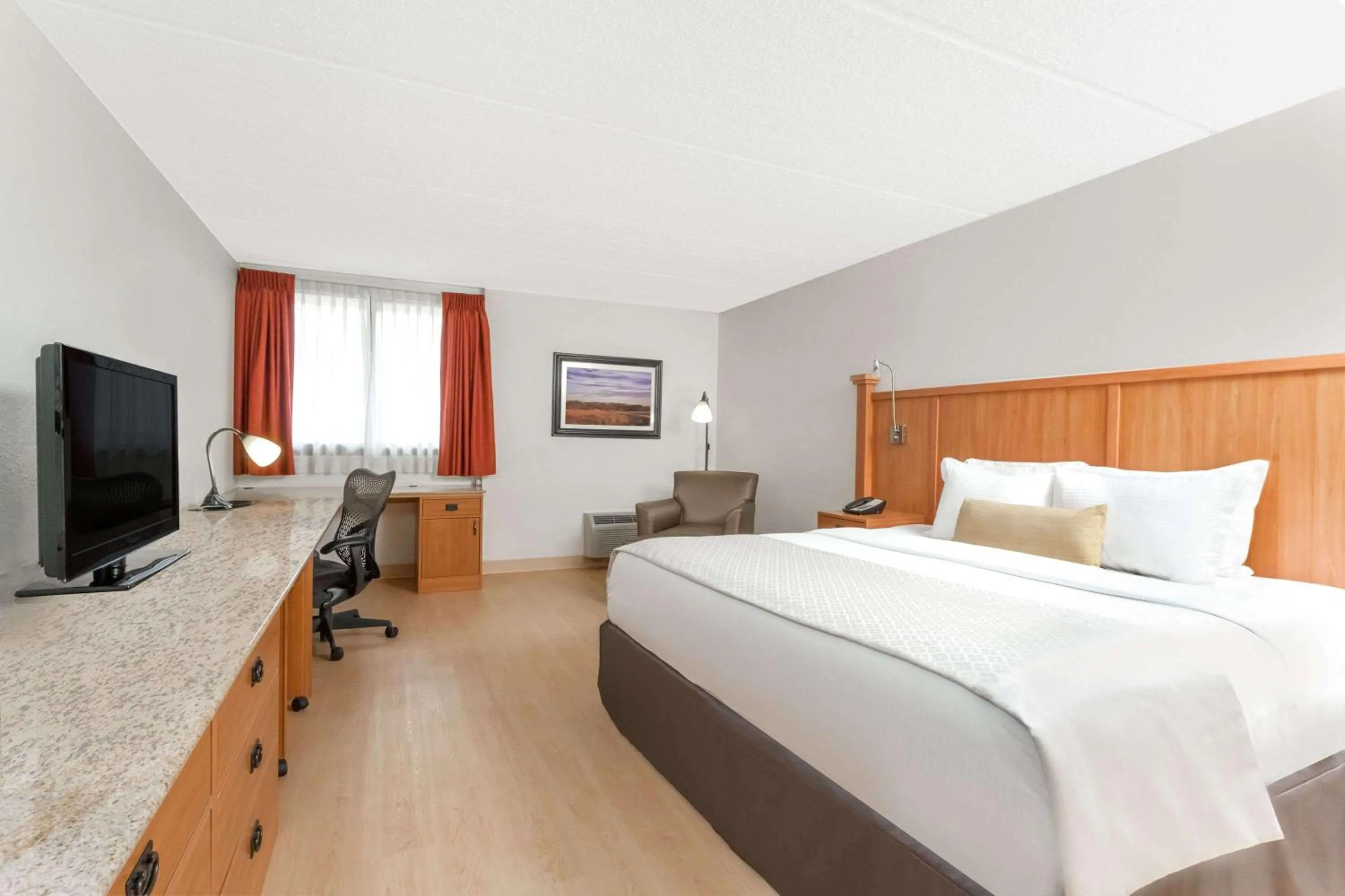 1 EXECUTIVE KING BED in Wyndham Garden Hotel Austin